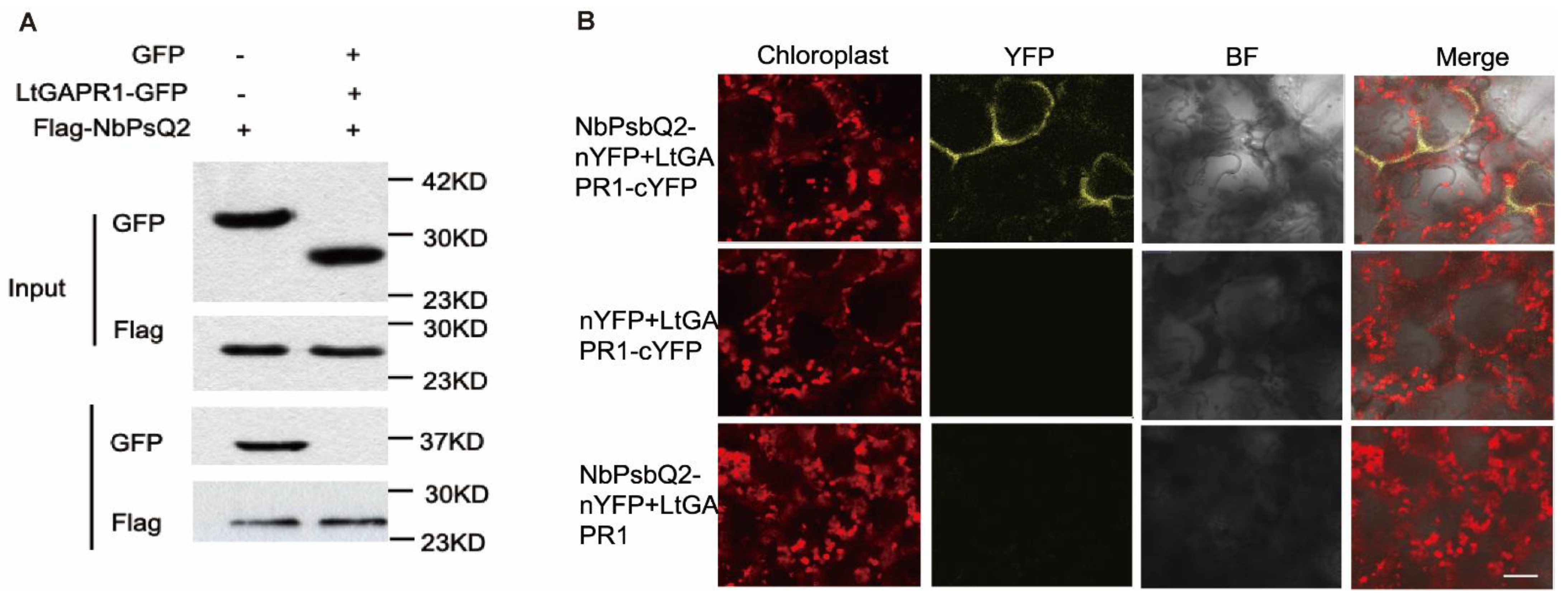 Jof 09 00188 g003 Jof 09 00188 g003