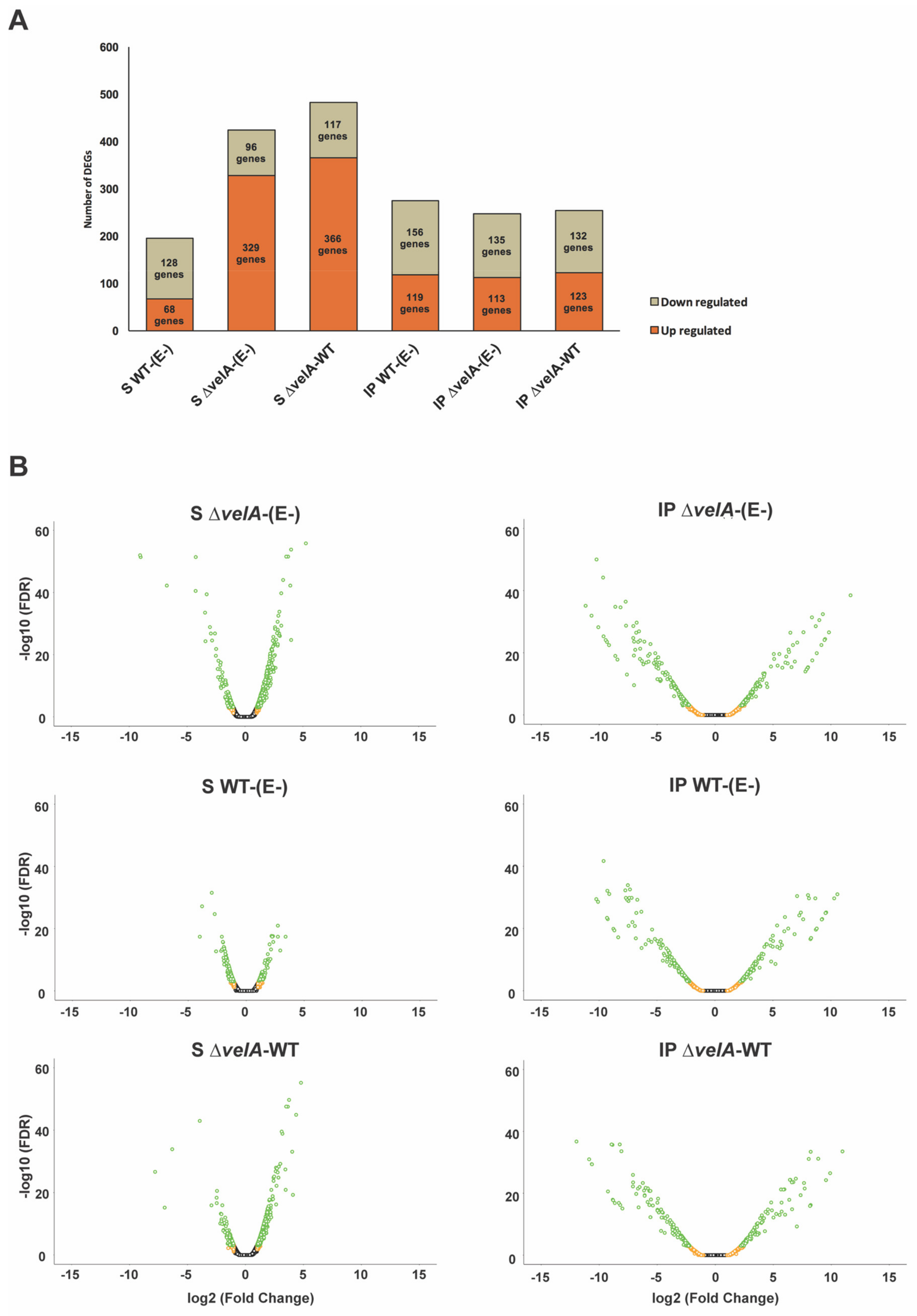 Jof 09 00190 g001a Jof 09 00190 g001a
