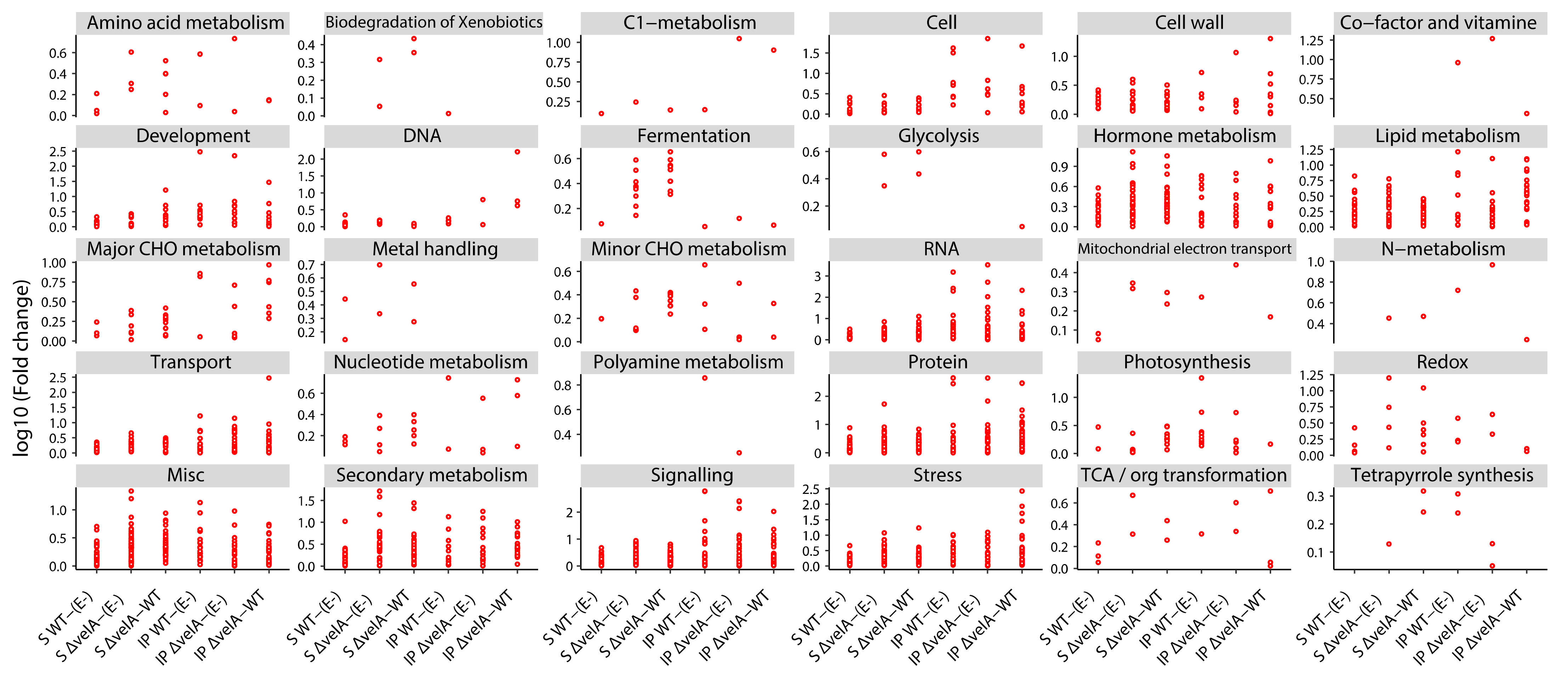 Jof 09 00190 g002 Jof 09 00190 g002