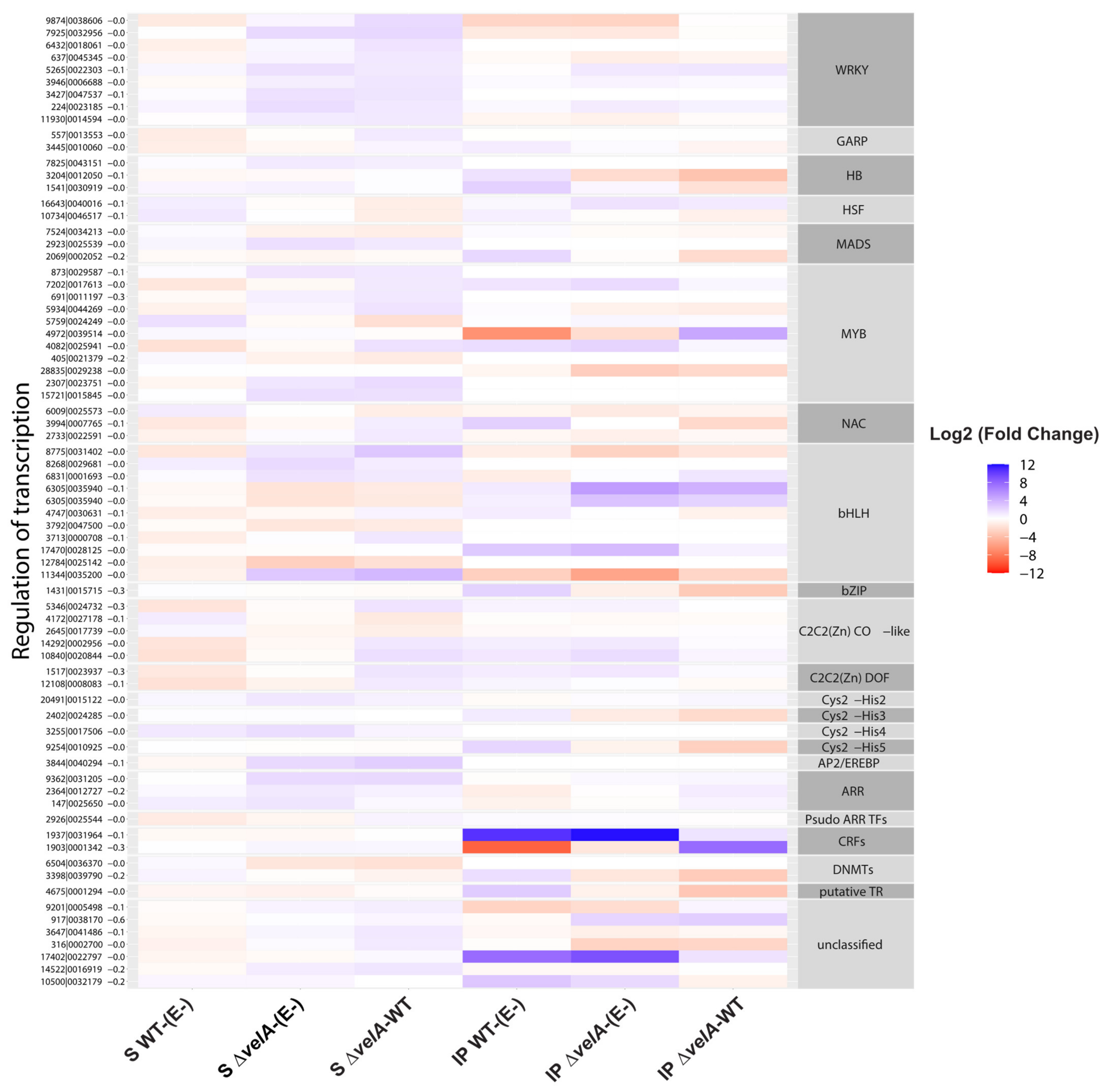 Jof 09 00190 g005 Jof 09 00190 g005