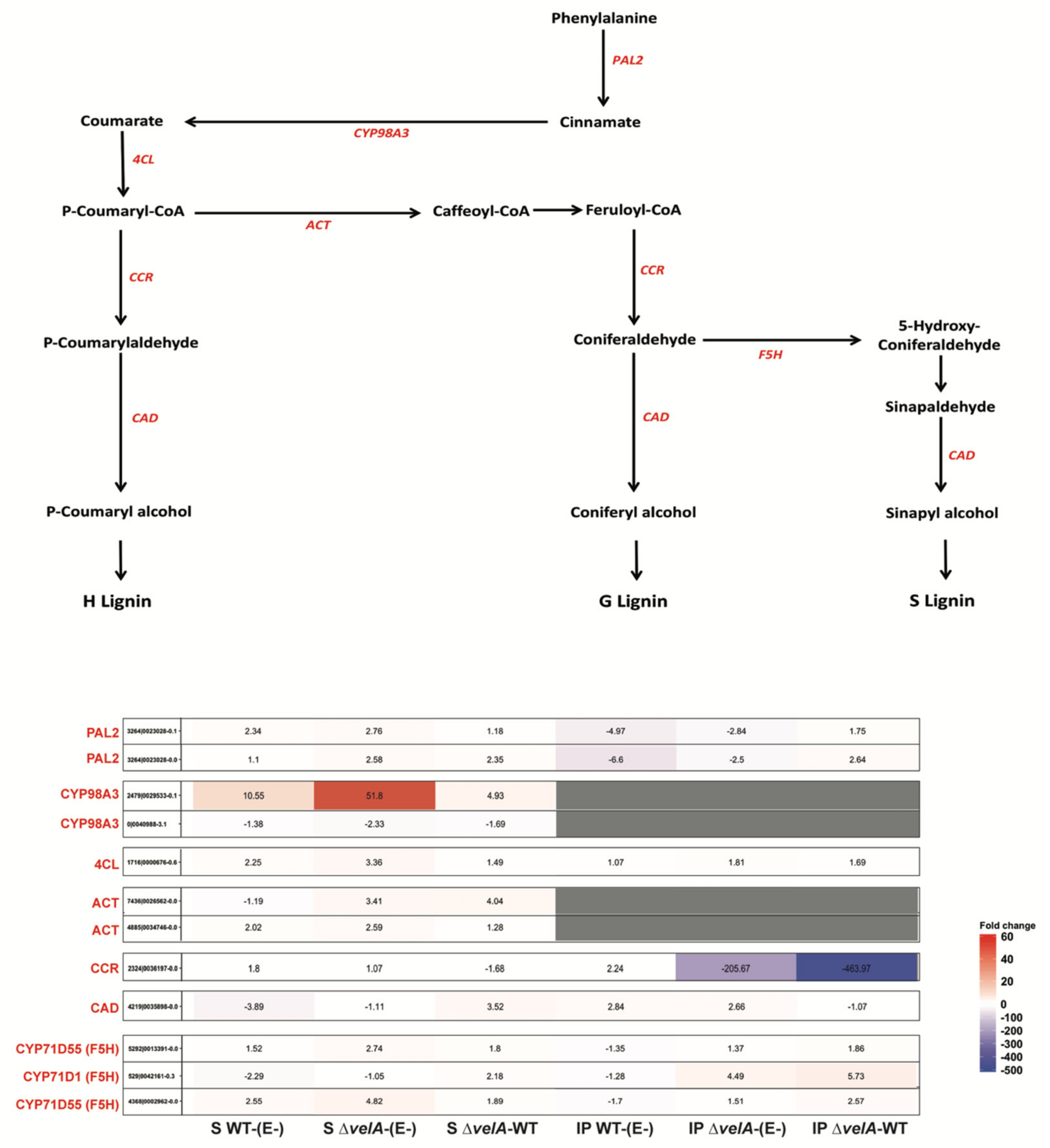 Jof 09 00190 g006 Jof 09 00190 g006