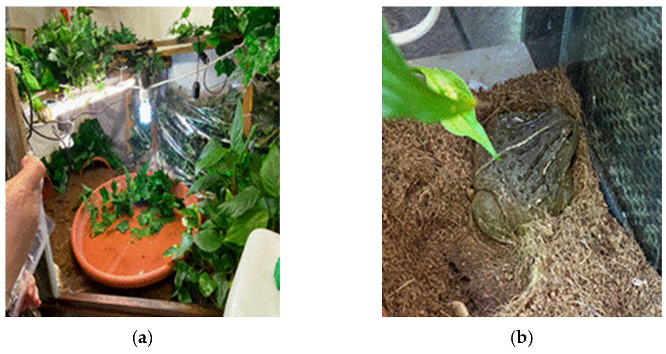 Jof 09 00191 g002 Jof 09 00191 g002