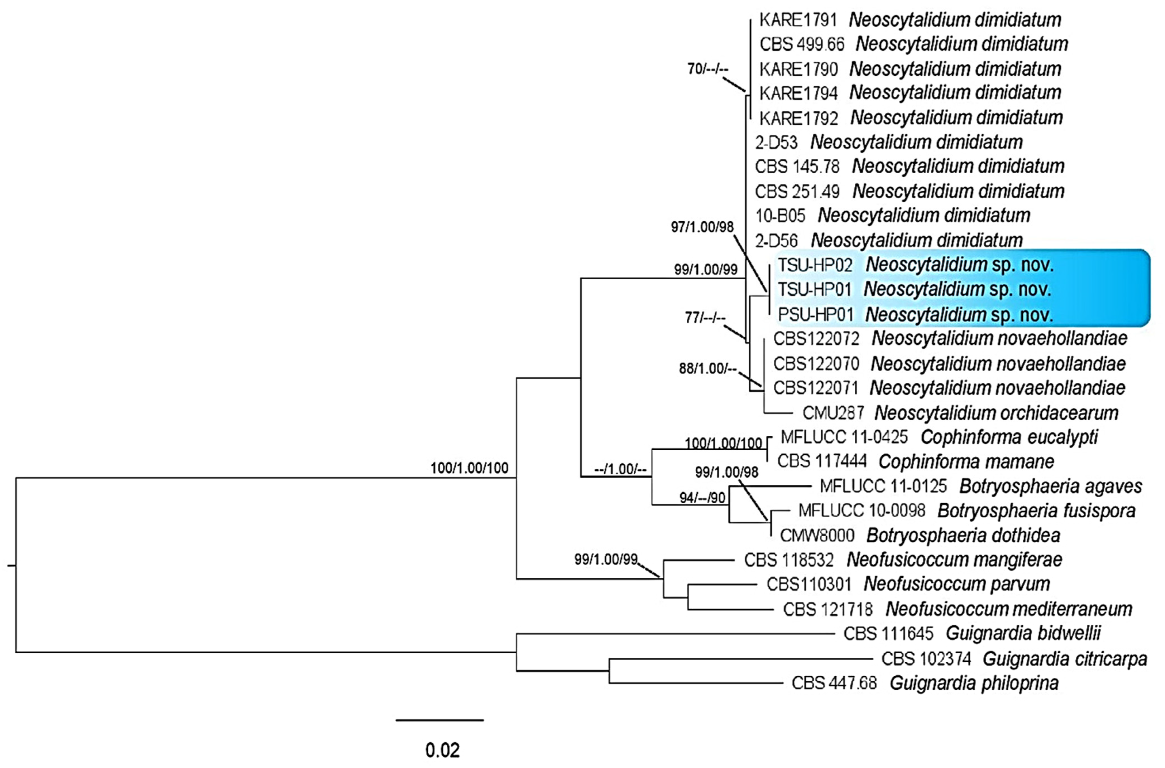 Jof 09 00197 g006 Jof 09 00197 g006