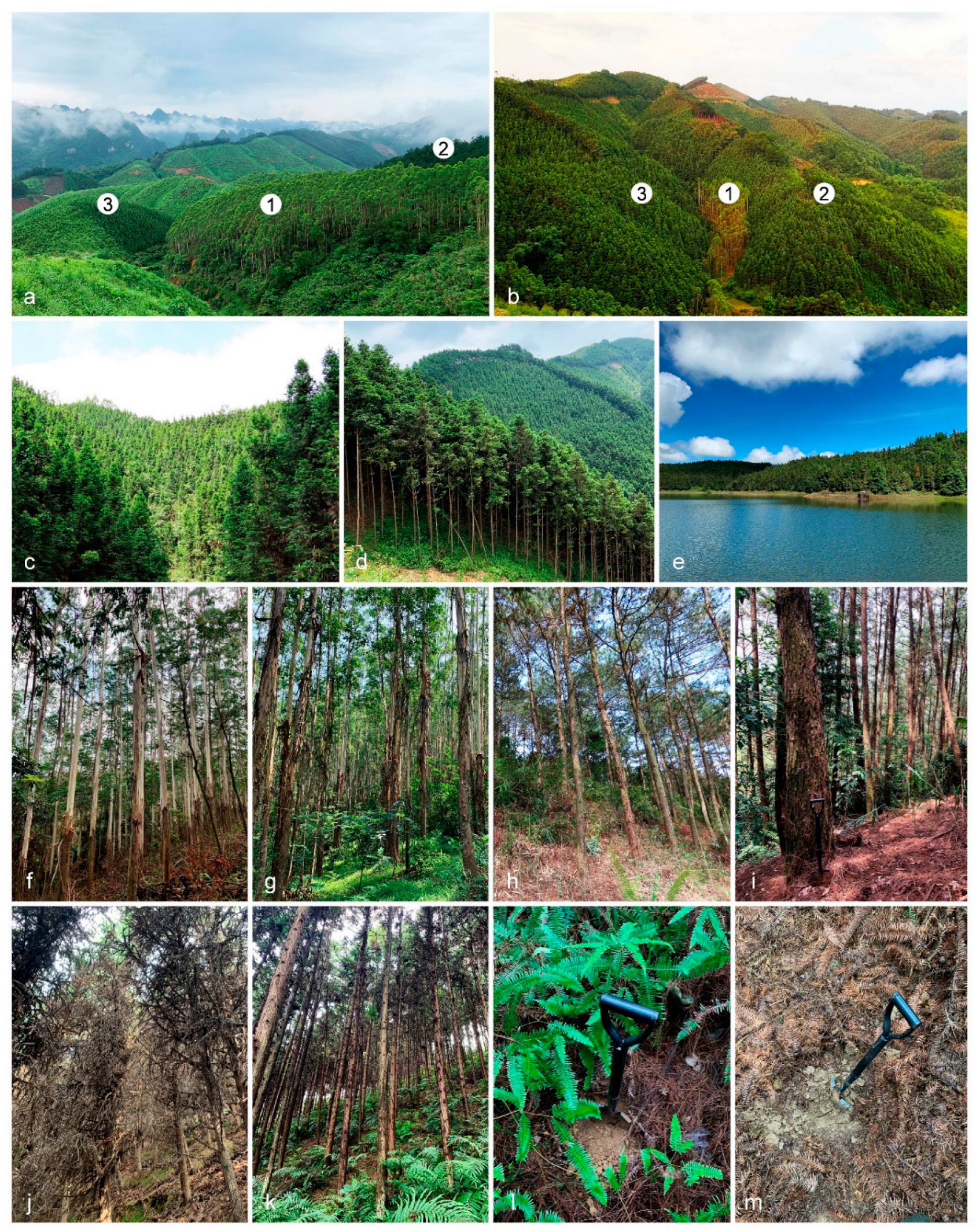 Jof 09 00198 g001 Jof 09 00198 g001