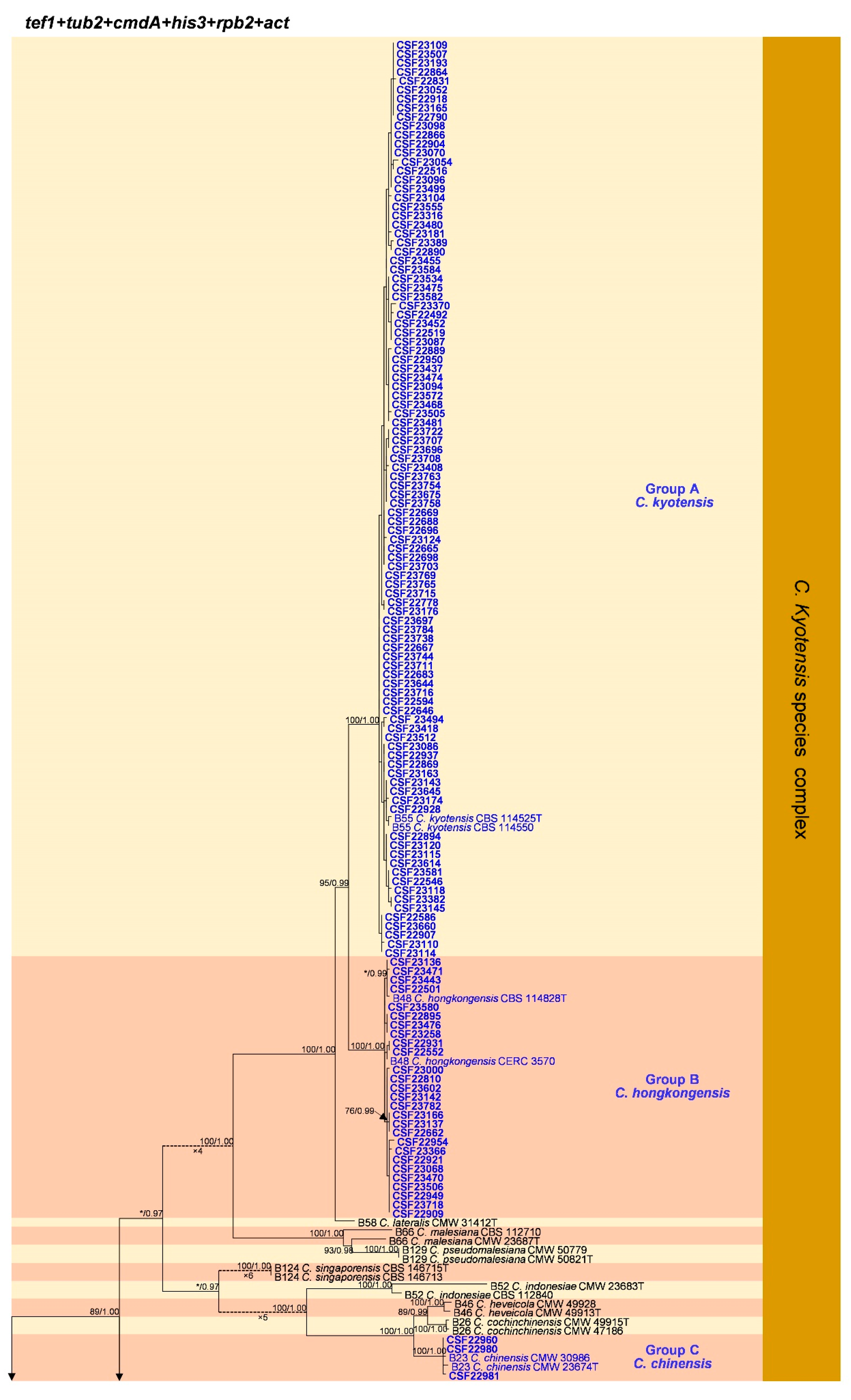 Jof 09 00198 g003a Jof 09 00198 g003a