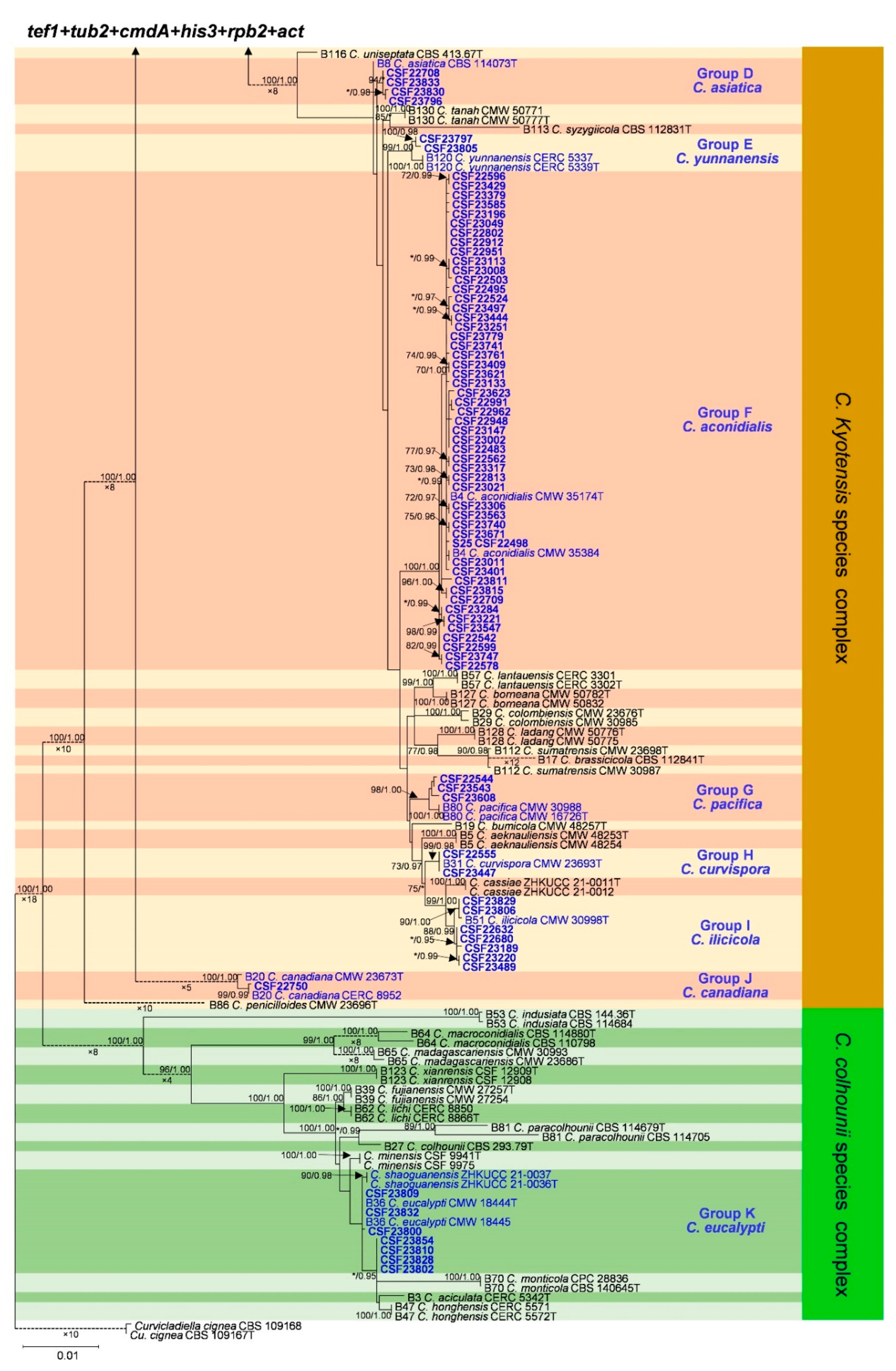 Jof 09 00198 g003b Jof 09 00198 g003b