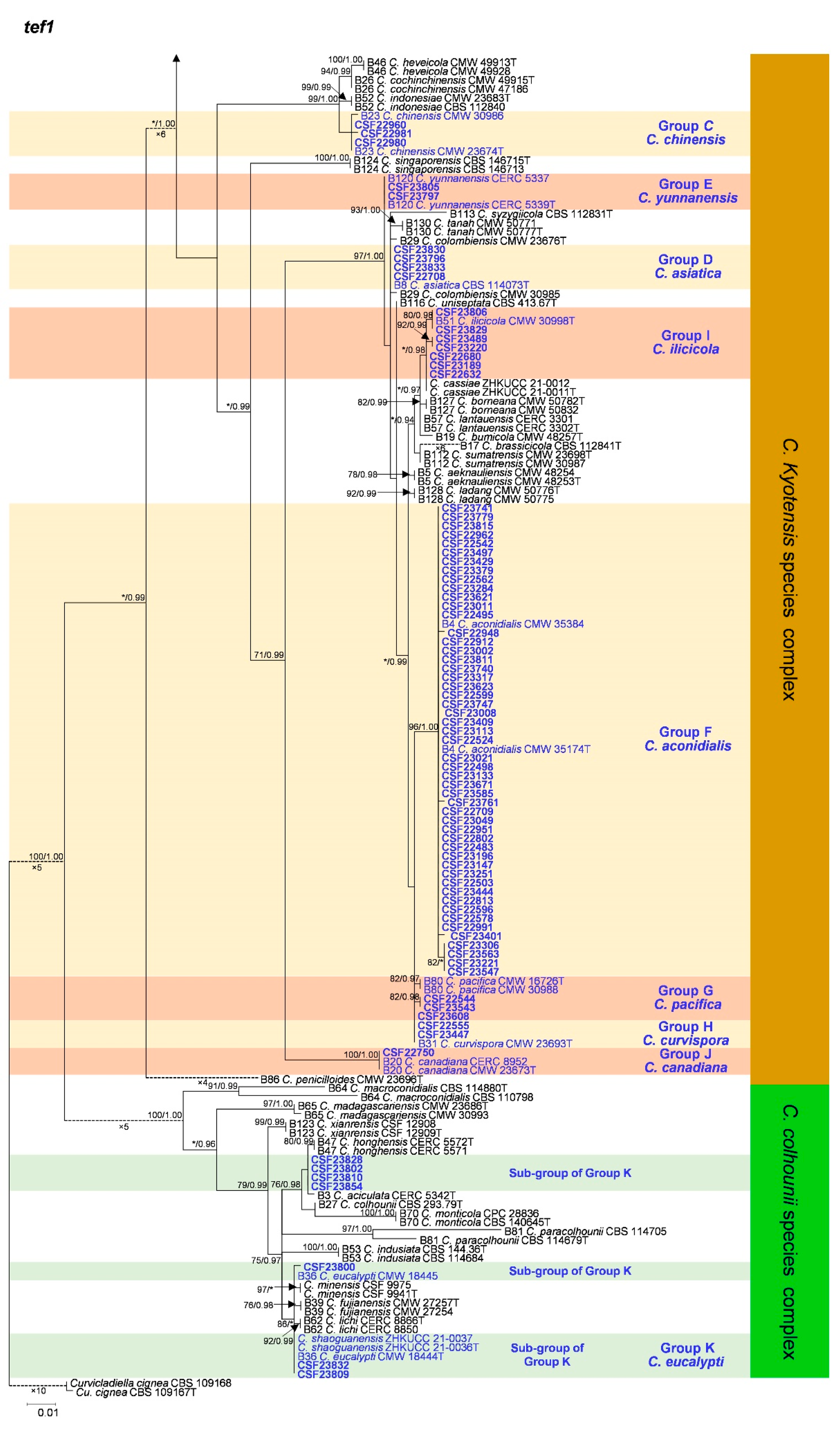 Jof 09 00198 g0a1b Jof 09 00198 g0a1b