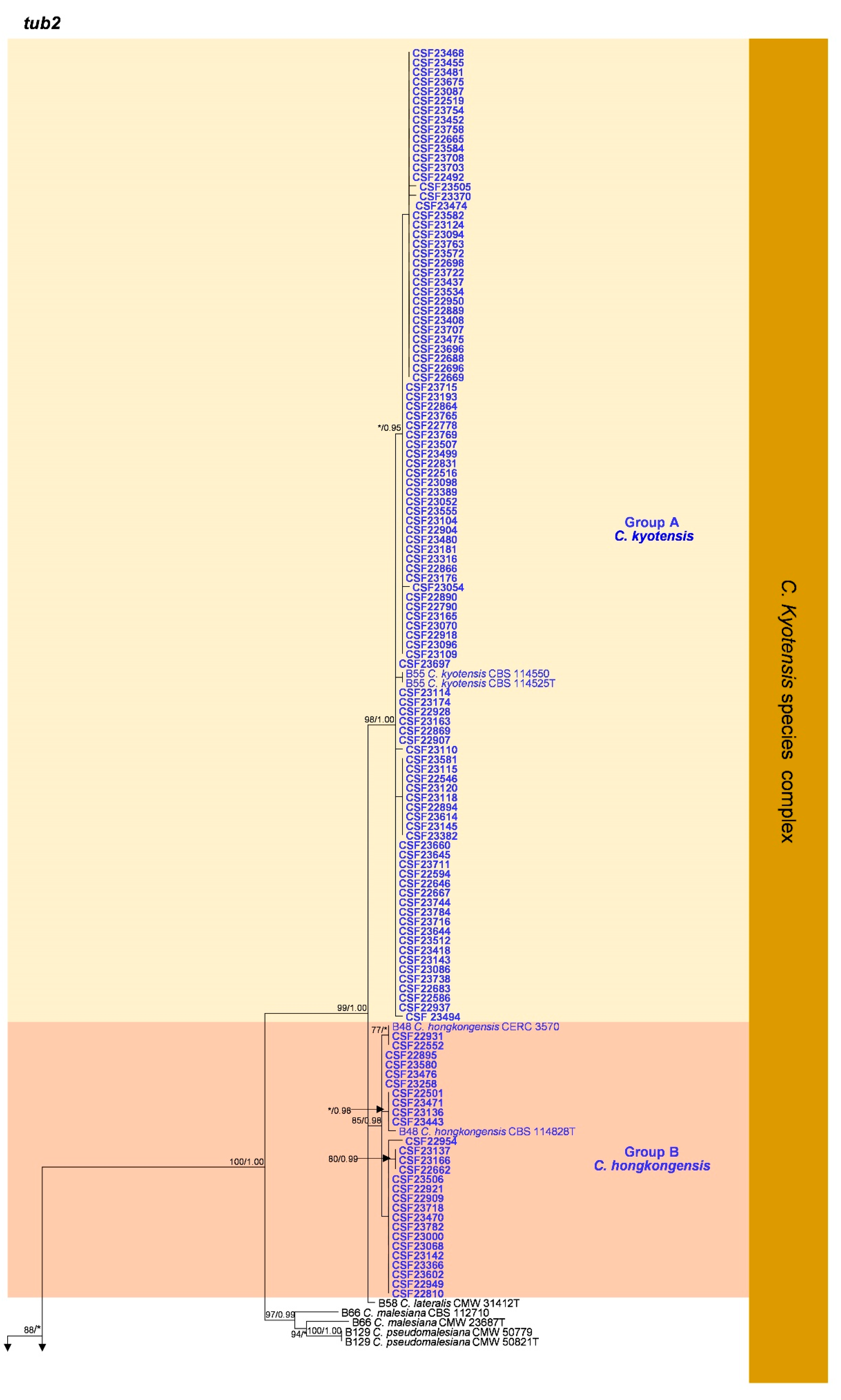 Jof 09 00198 g0a2a Jof 09 00198 g0a2a