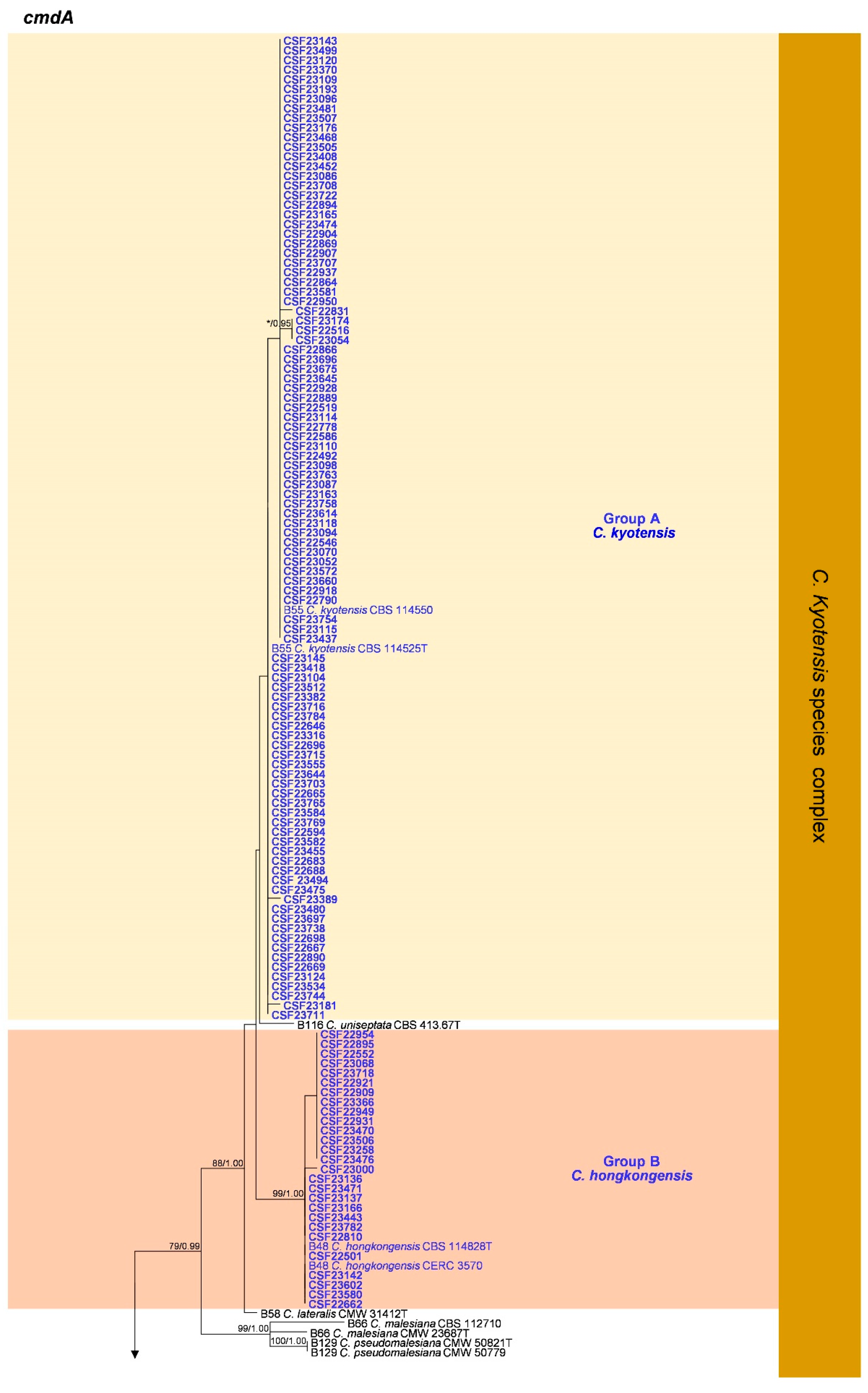 Jof 09 00198 g0a3a Jof 09 00198 g0a3a