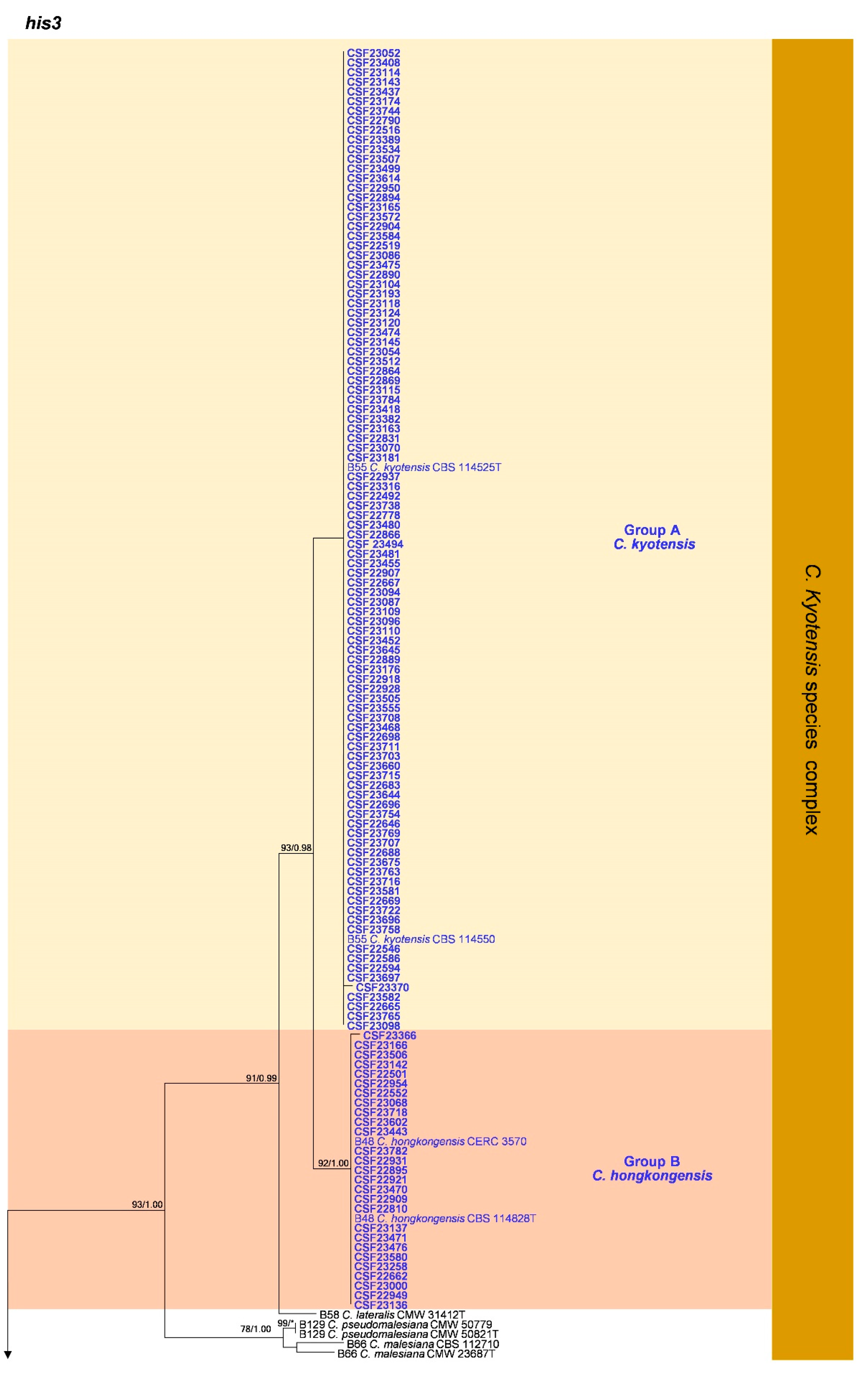 Jof 09 00198 g0a4a Jof 09 00198 g0a4a