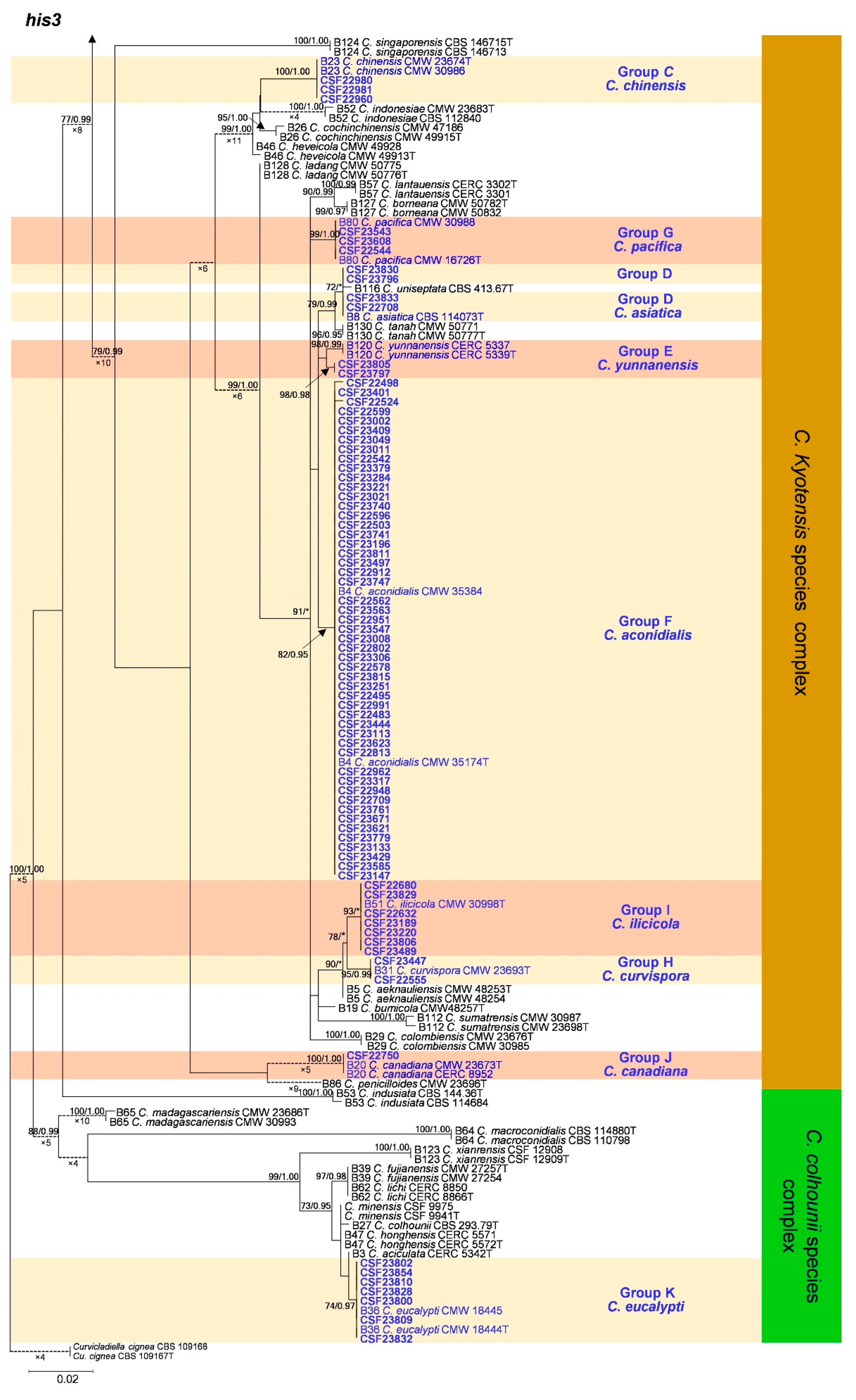 Jof 09 00198 g0a4b Jof 09 00198 g0a4b
