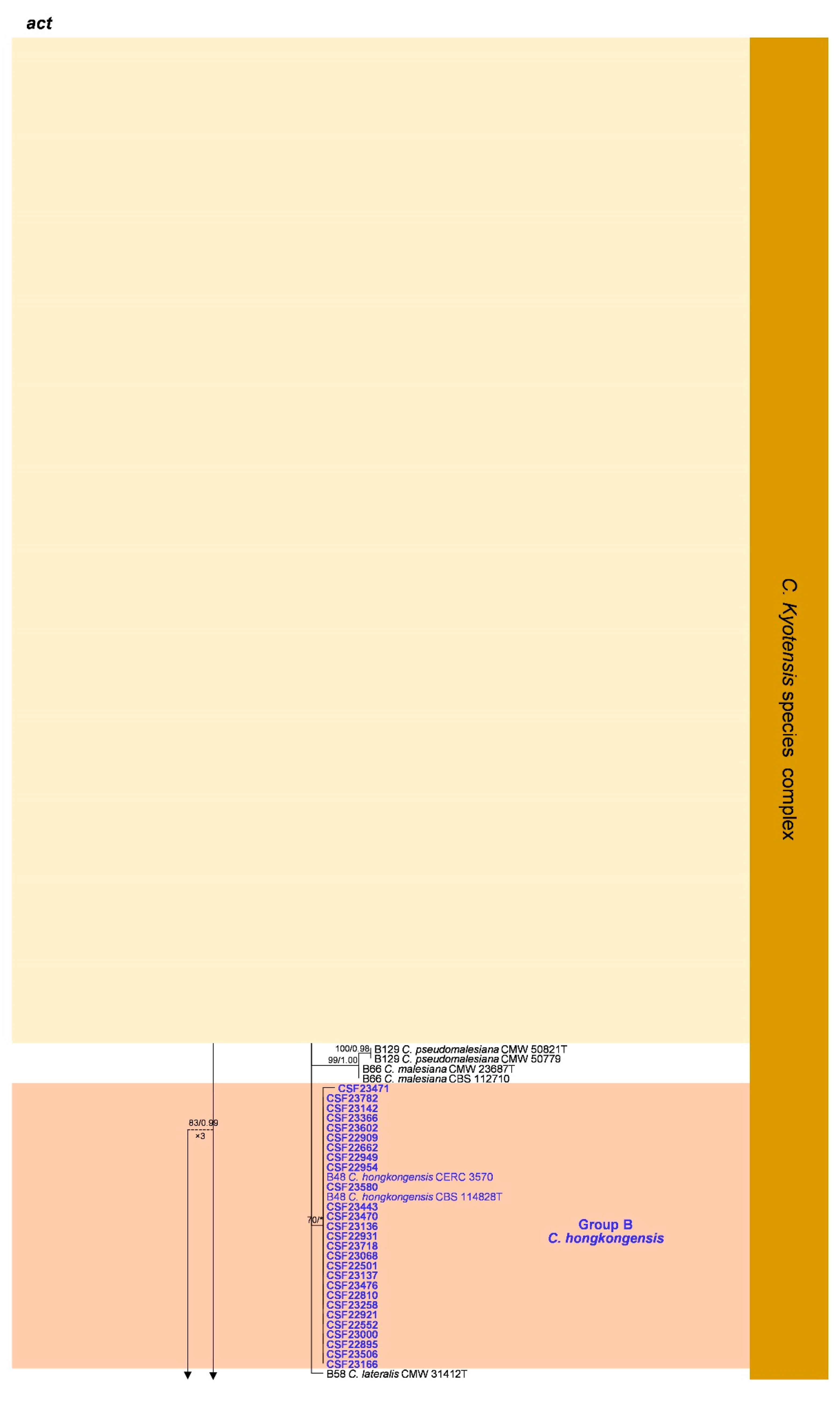 Jof 09 00198 g0a6a Jof 09 00198 g0a6a