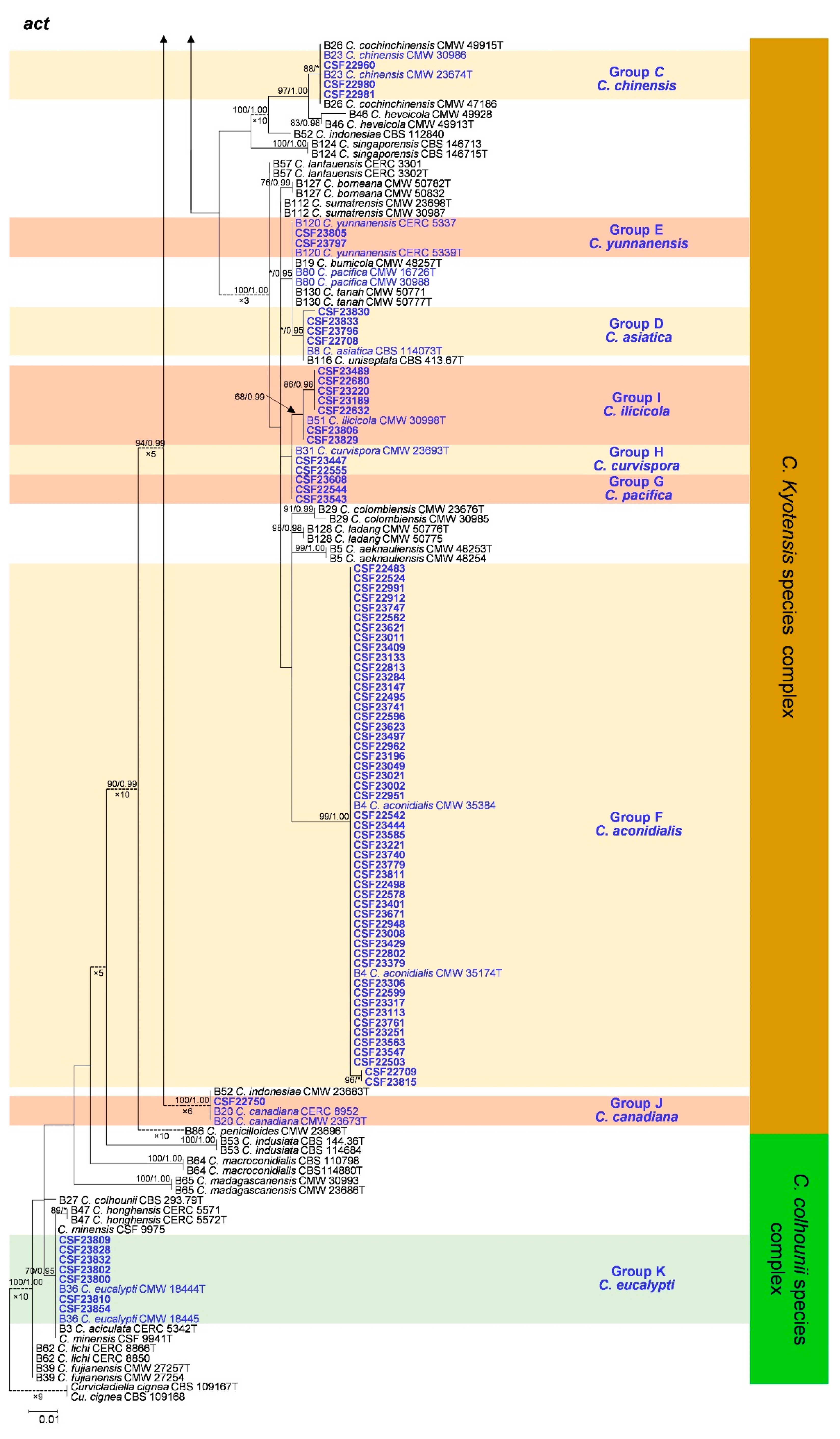 Jof 09 00198 g0a6b Jof 09 00198 g0a6b