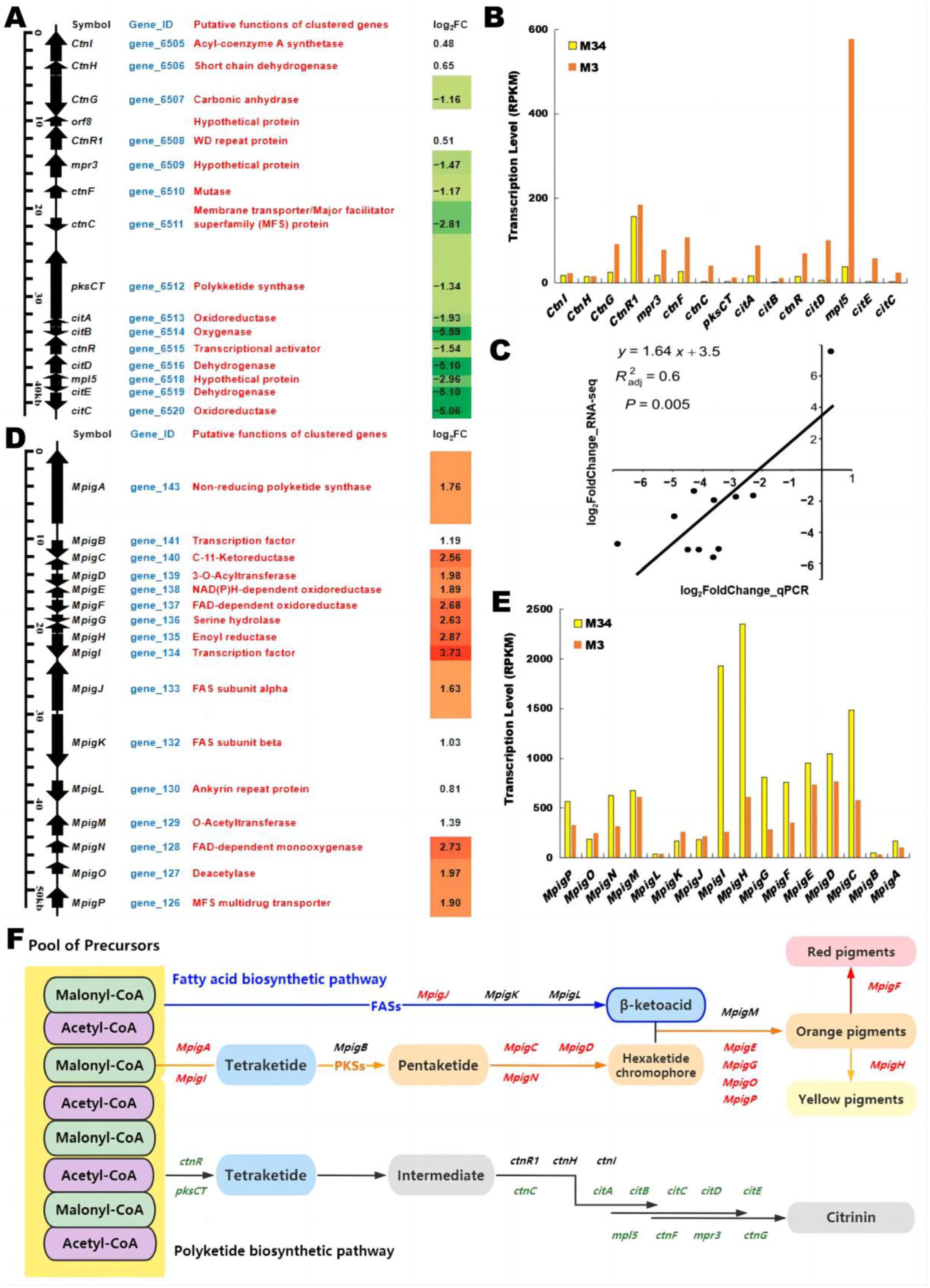 Jof 09 00200 g009 550