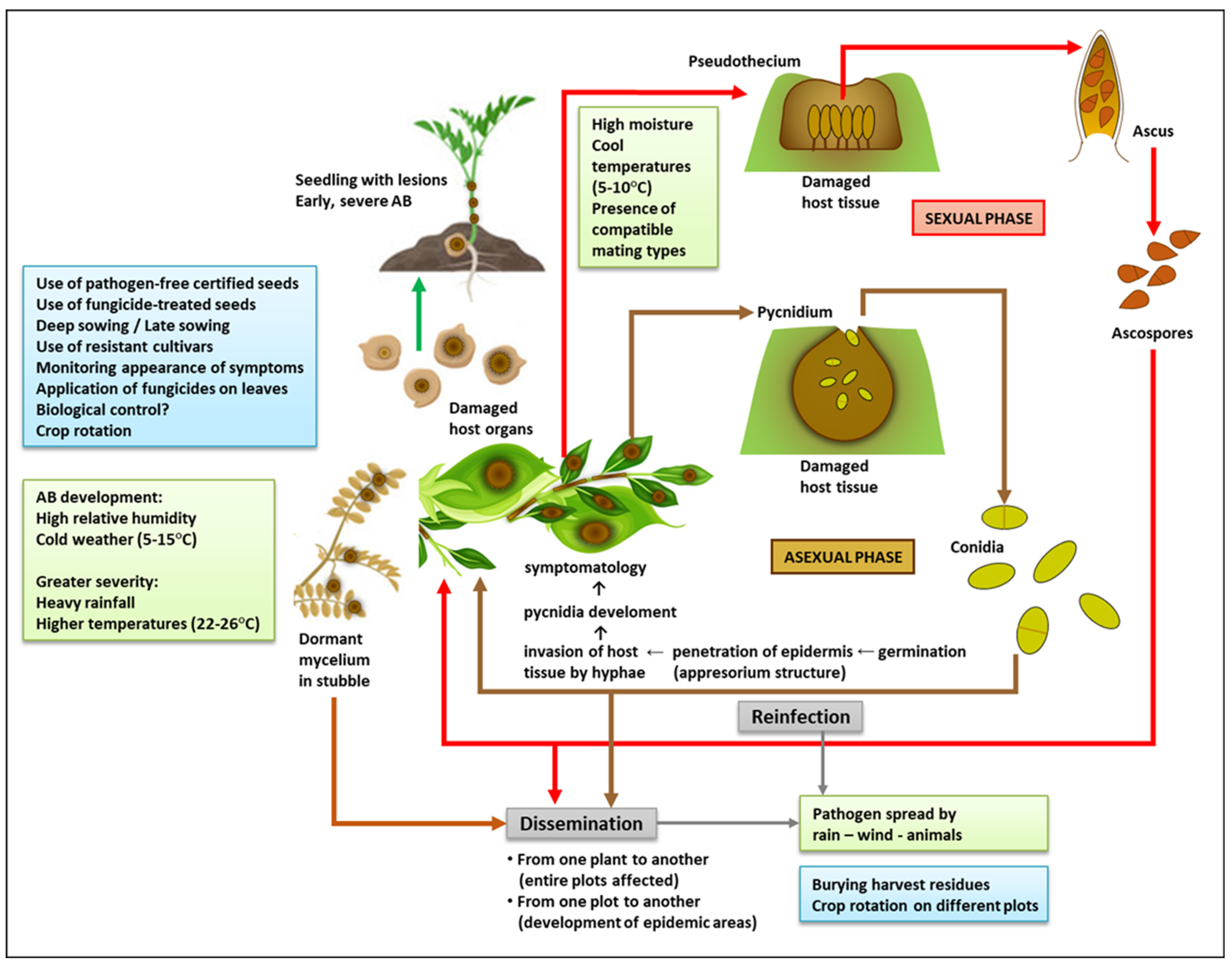 Frontiers  Characterization of fungal pathogens and germplasm