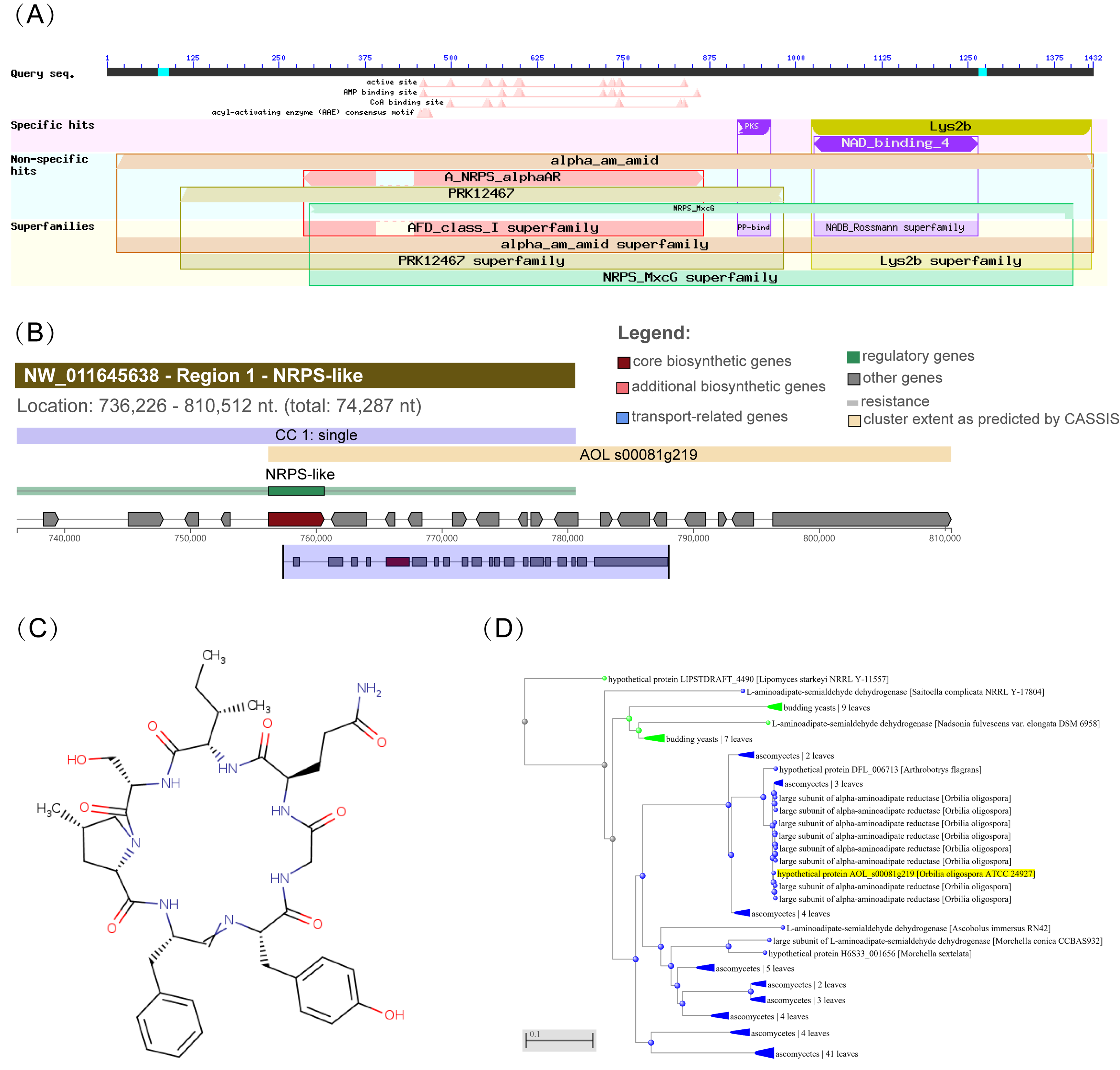 Jof 09 00206 g001 Jof 09 00206 g001