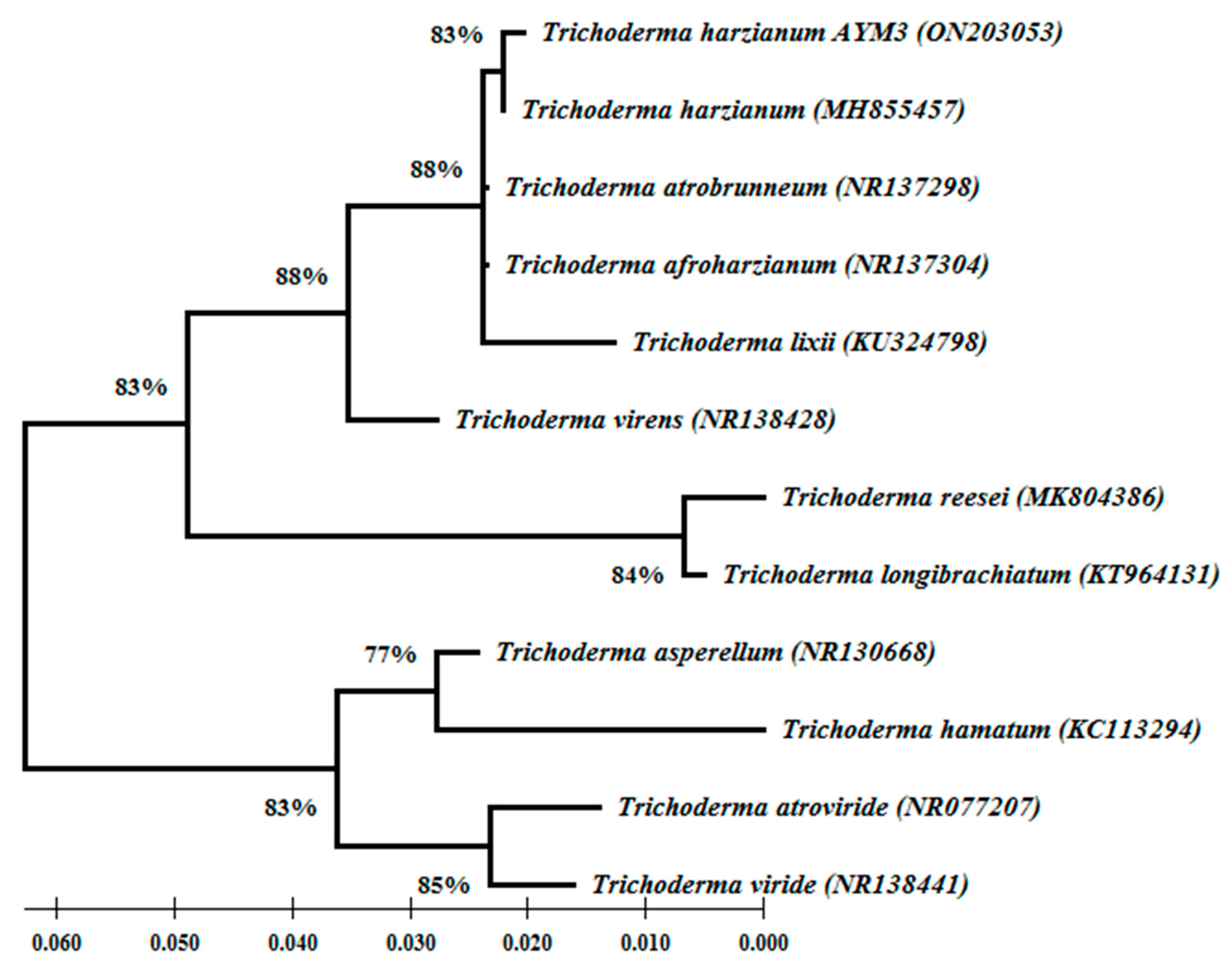 Jof 09 00209 g004 Jof 09 00209 g004
