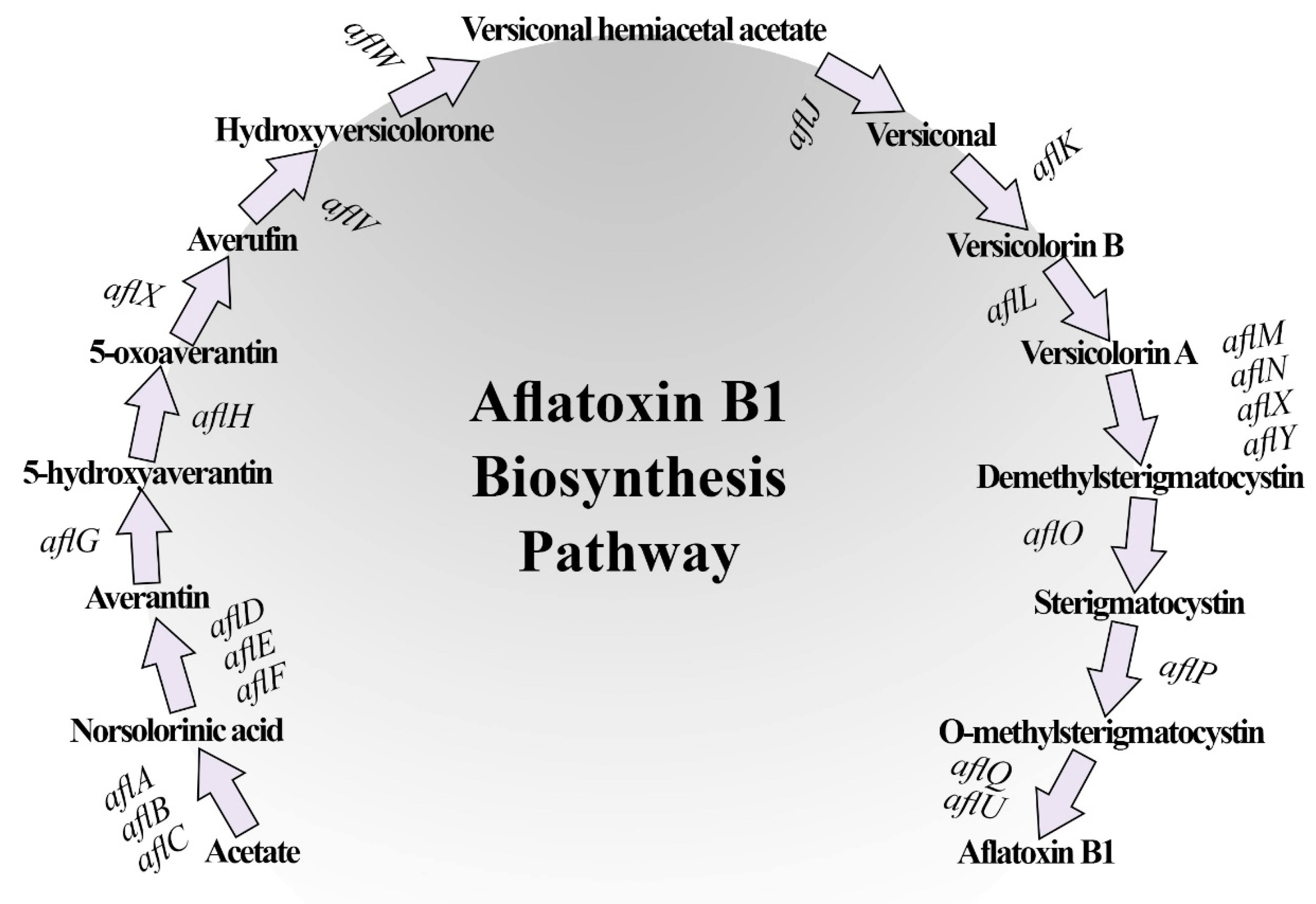 Jof 09 00209 g007 Jof 09 00209 g007