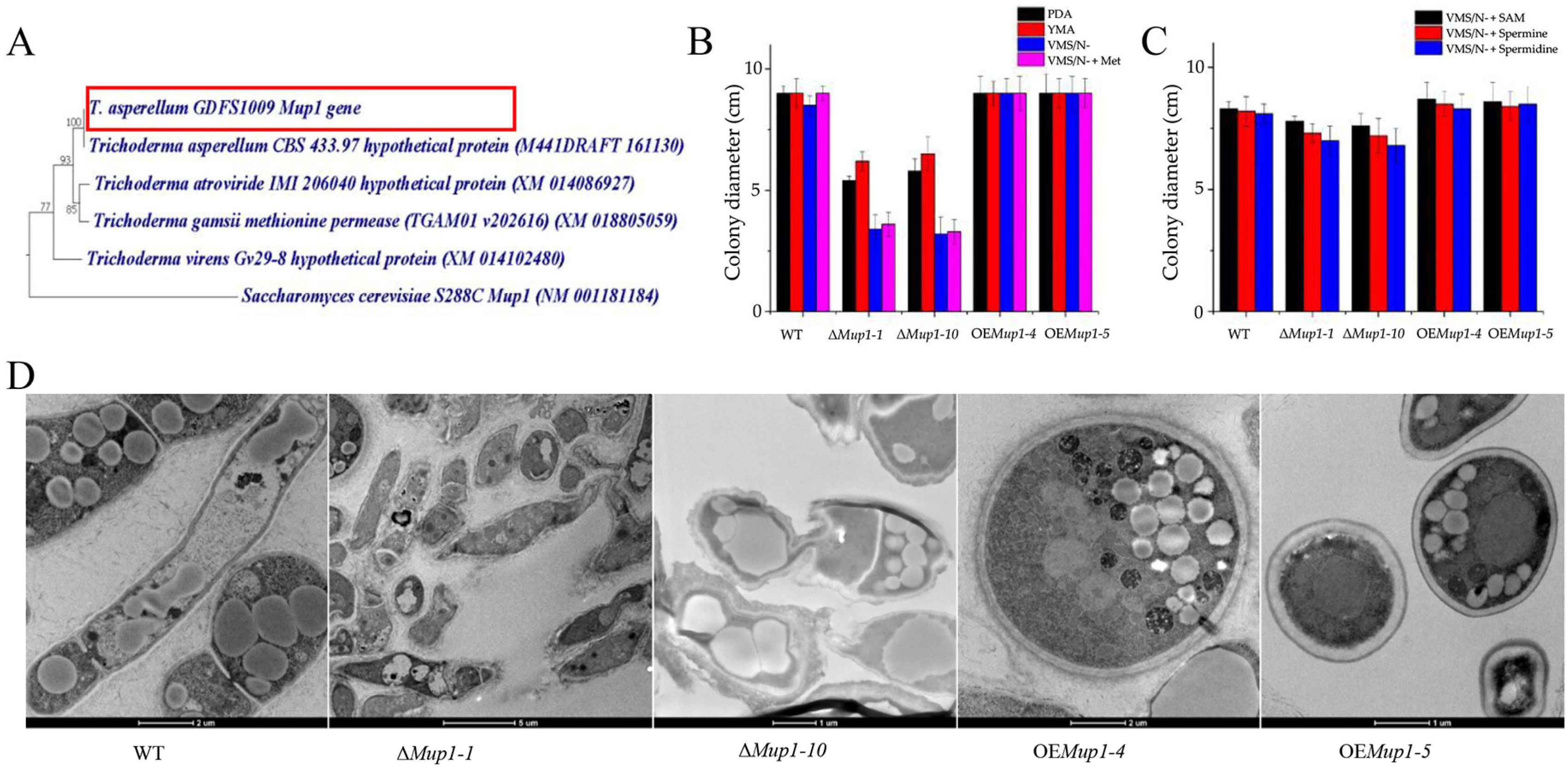Jof 09 00215 g003 Jof 09 00215 g003