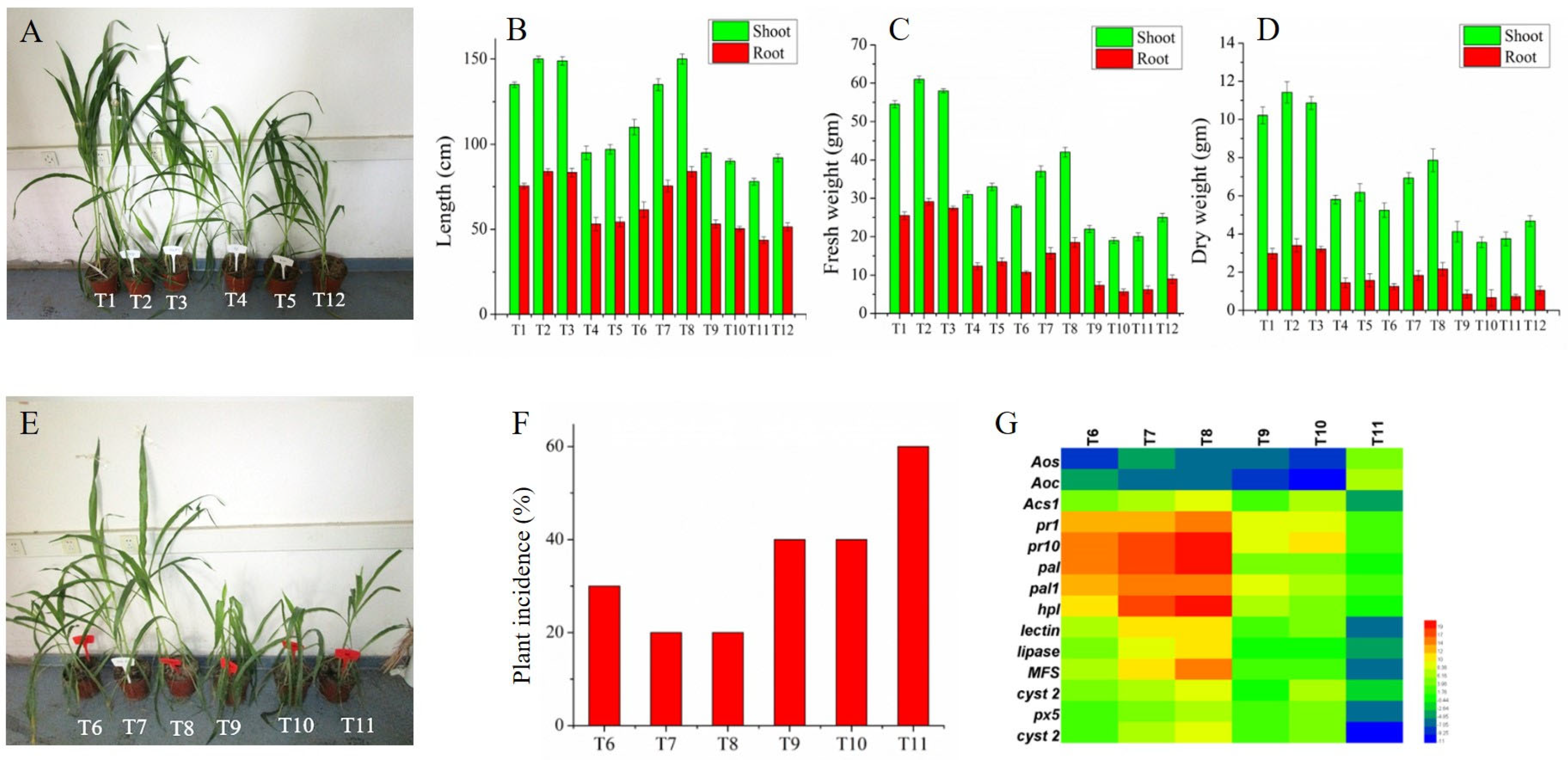 Jof 09 00215 g006 Jof 09 00215 g006