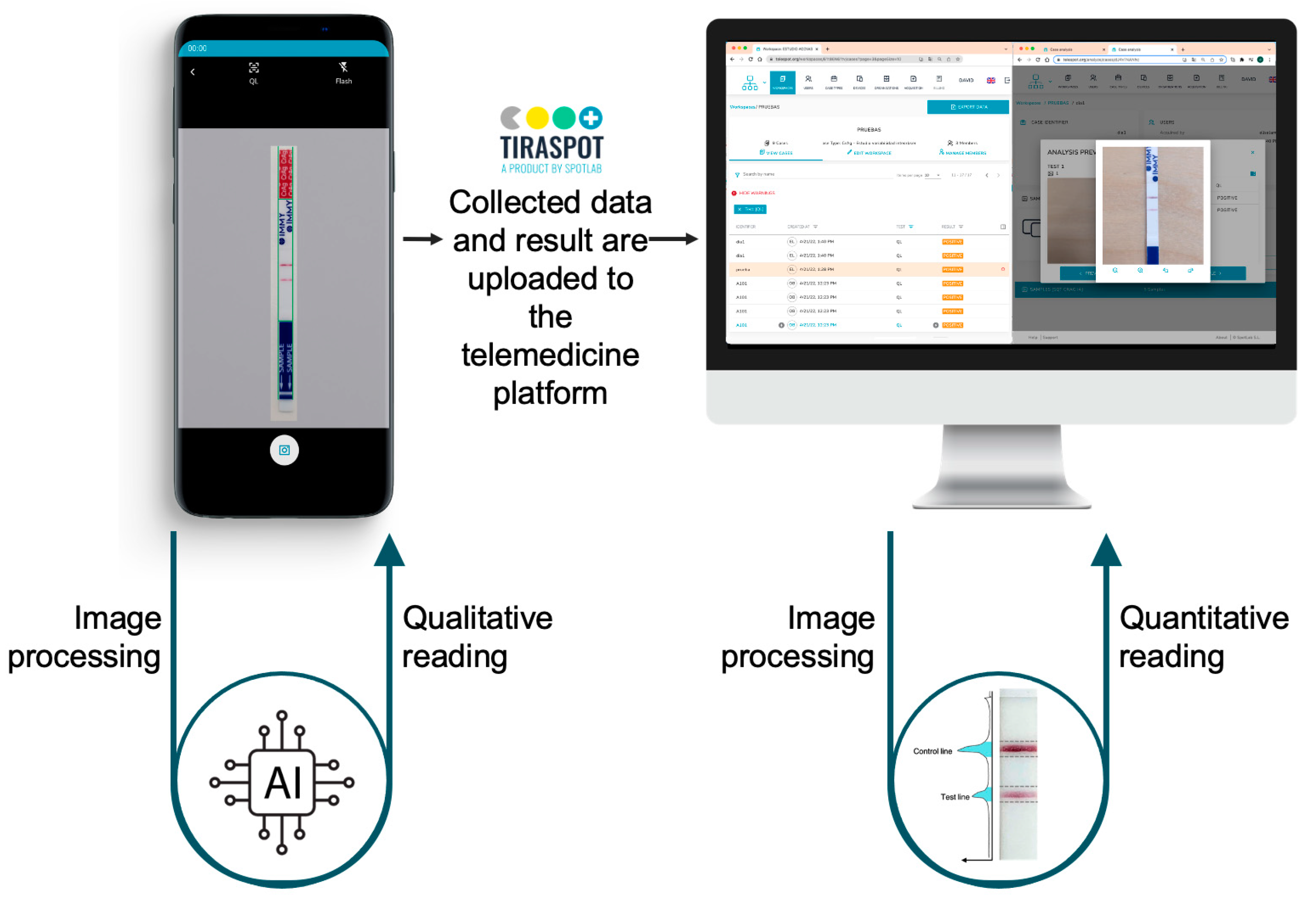 JoF Free FullText Digital Platform for Automatic Qualitative and