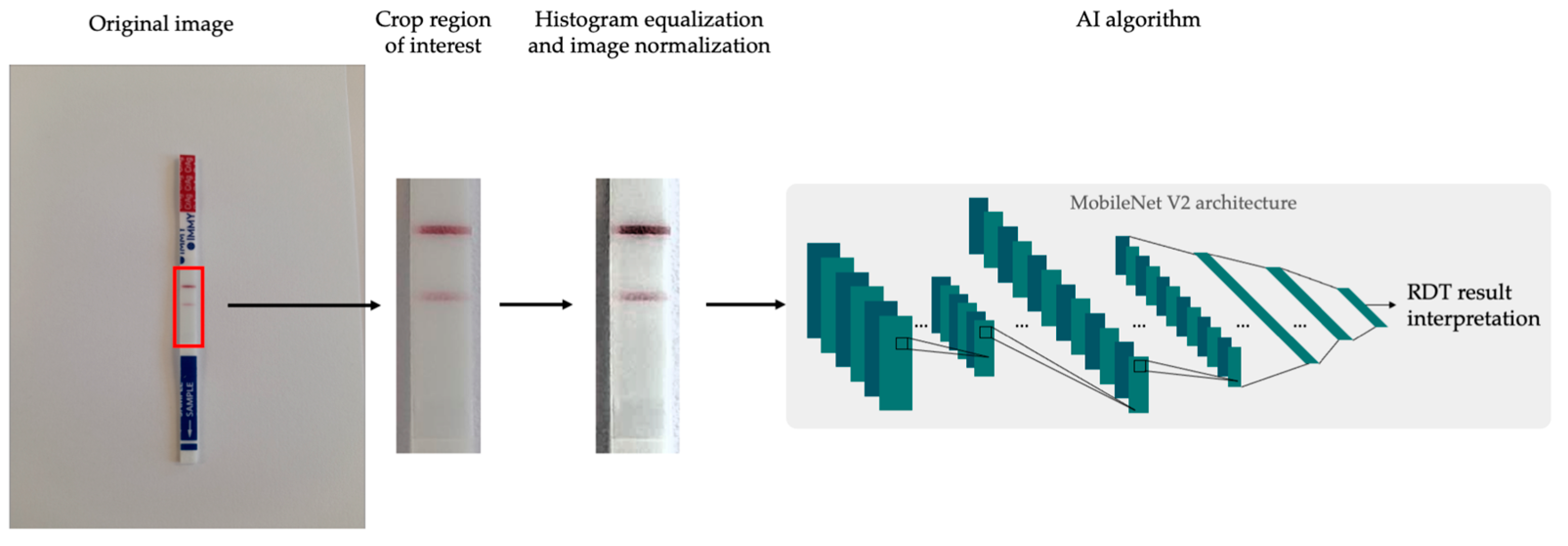 Jof 09 00217 g002 550