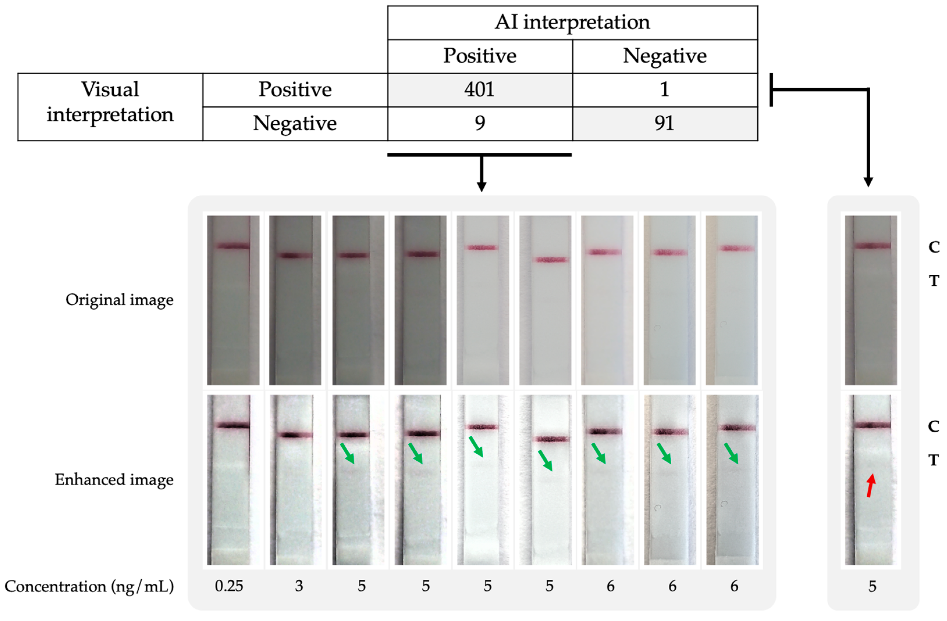 Jof 09 00217 g004 550
