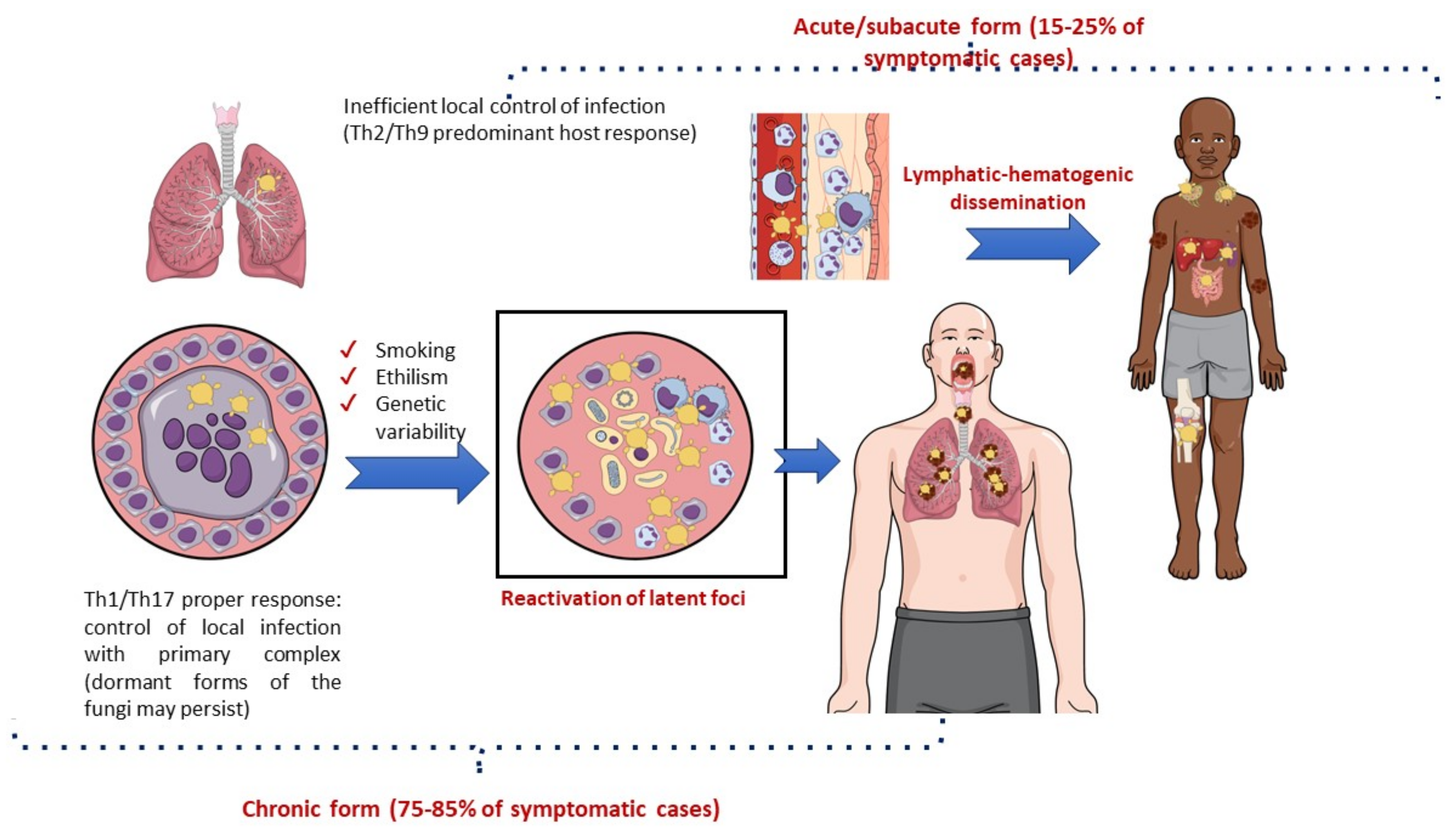 Jof 09 00218 g005 Jof 09 00218 g005