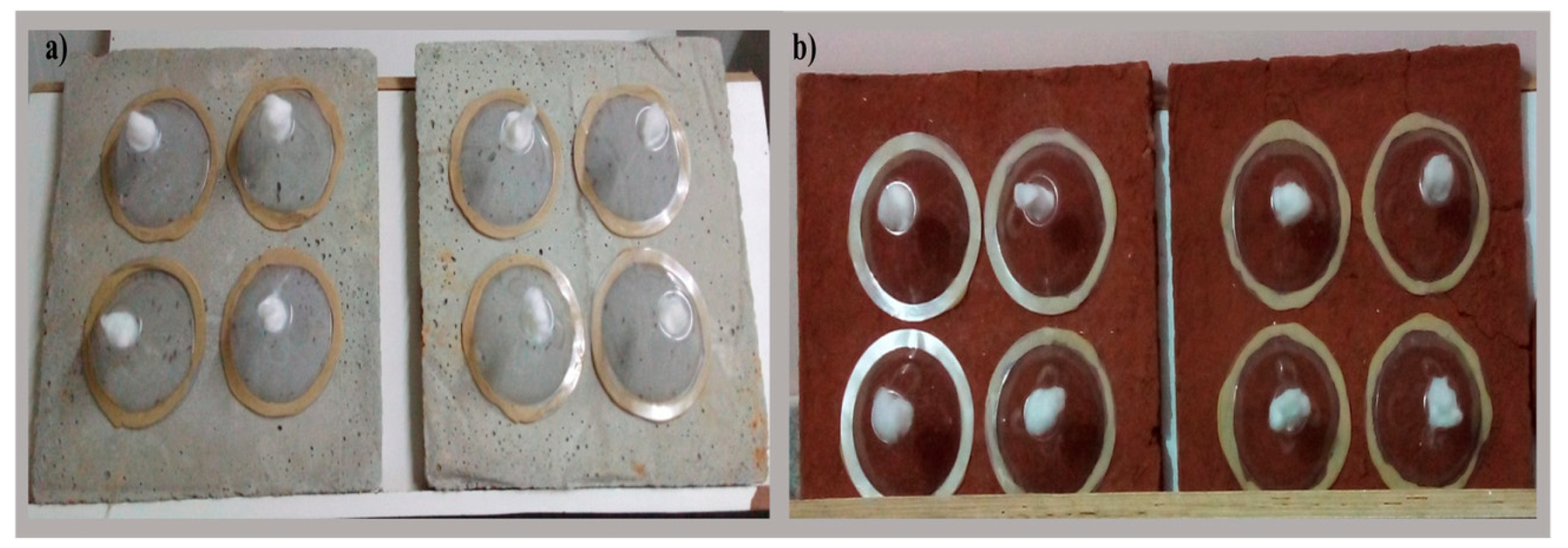 Jof 09 00223 g001 Jof 09 00223 g001