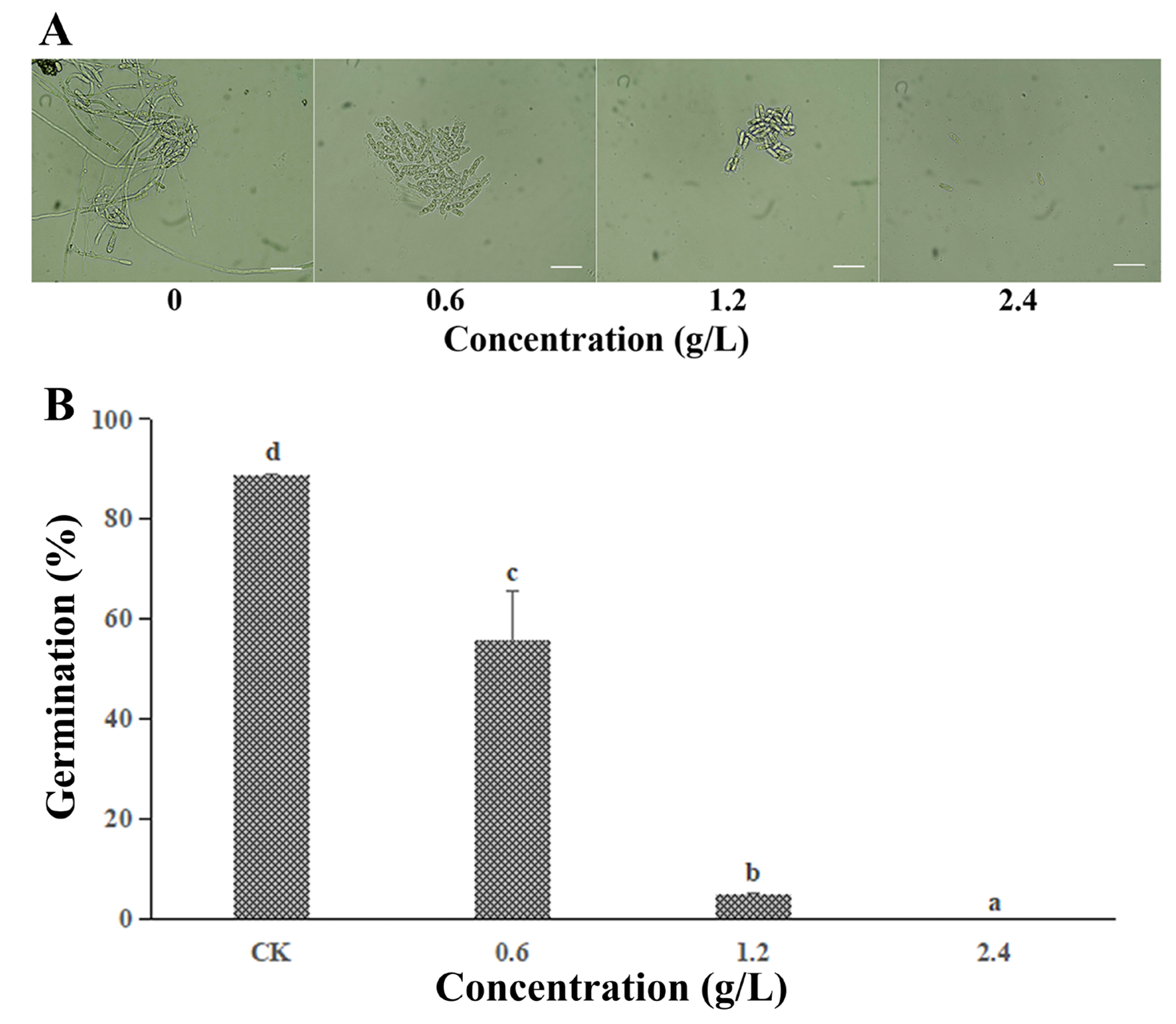 Jof 09 00230 g002 550