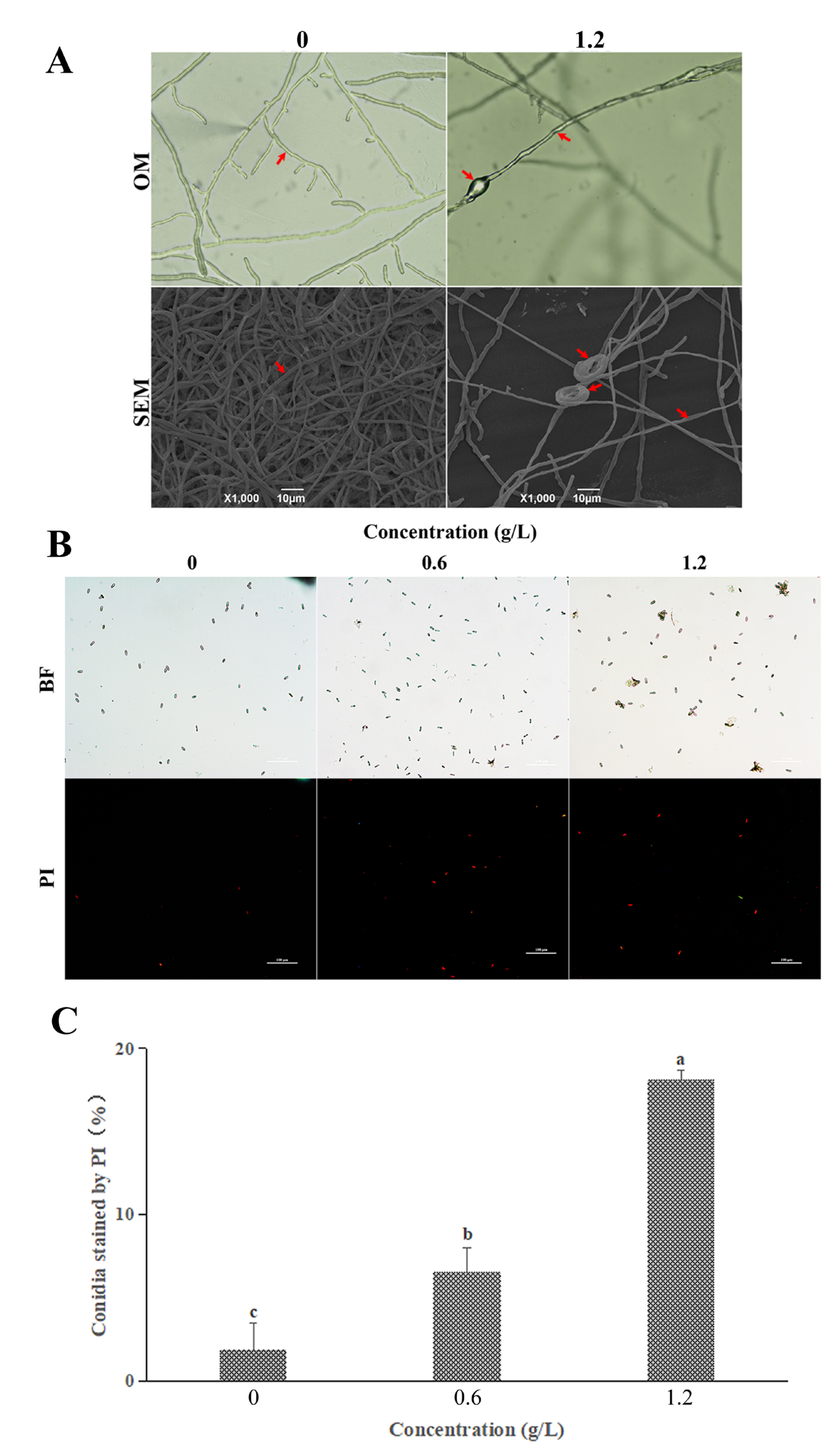 Jof 09 00230 g003 550