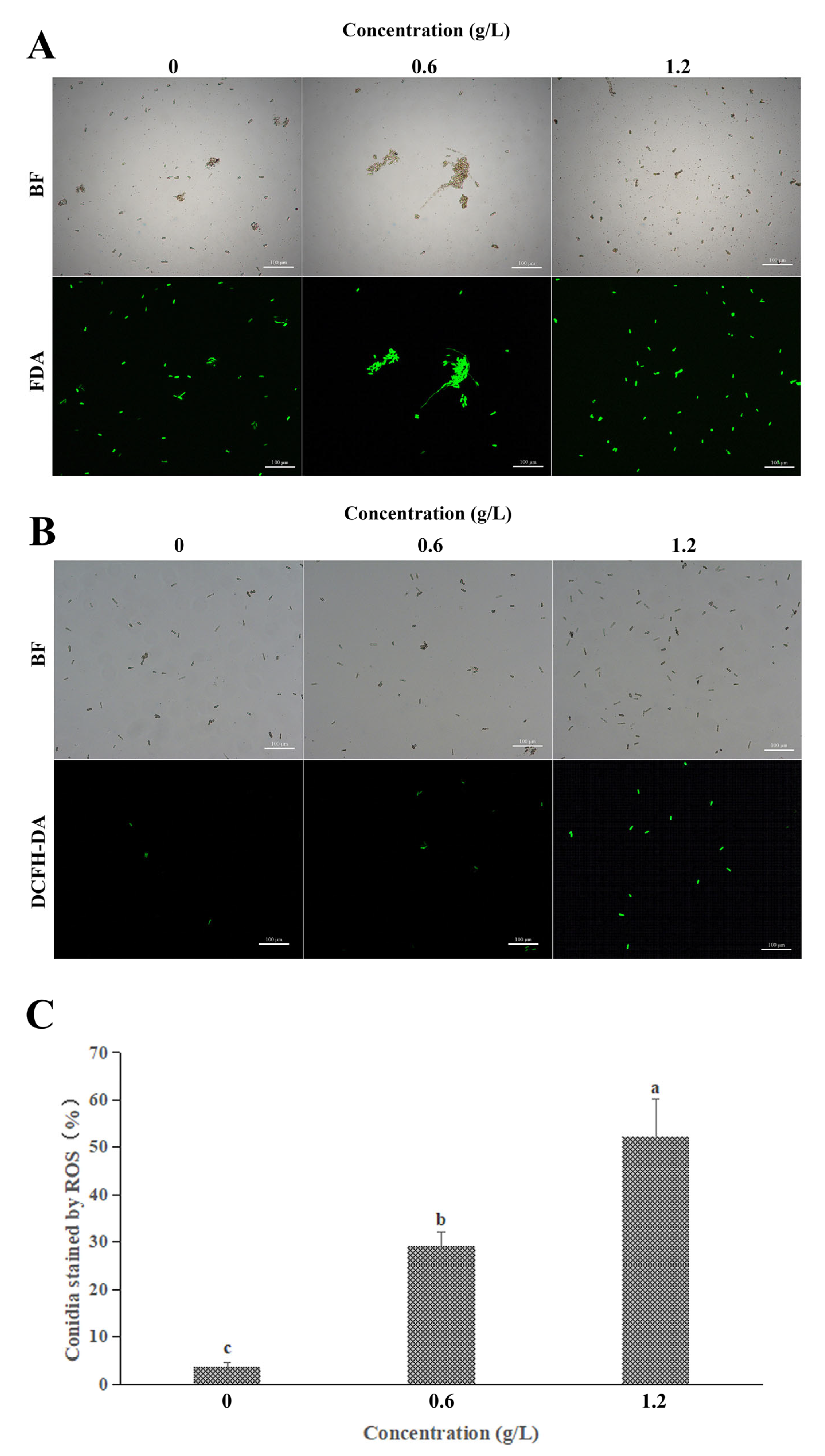 Jof 09 00230 g005 550