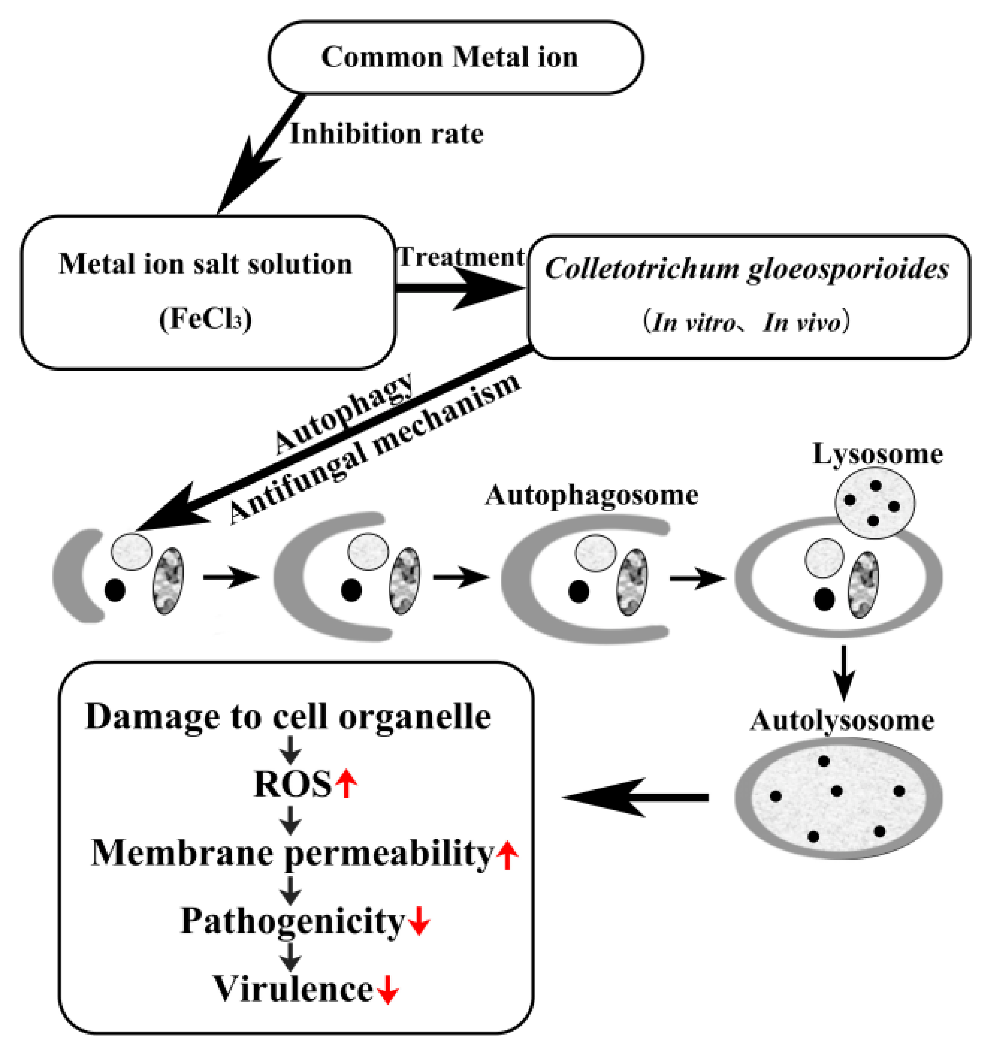 Jof 09 00230 g007 550