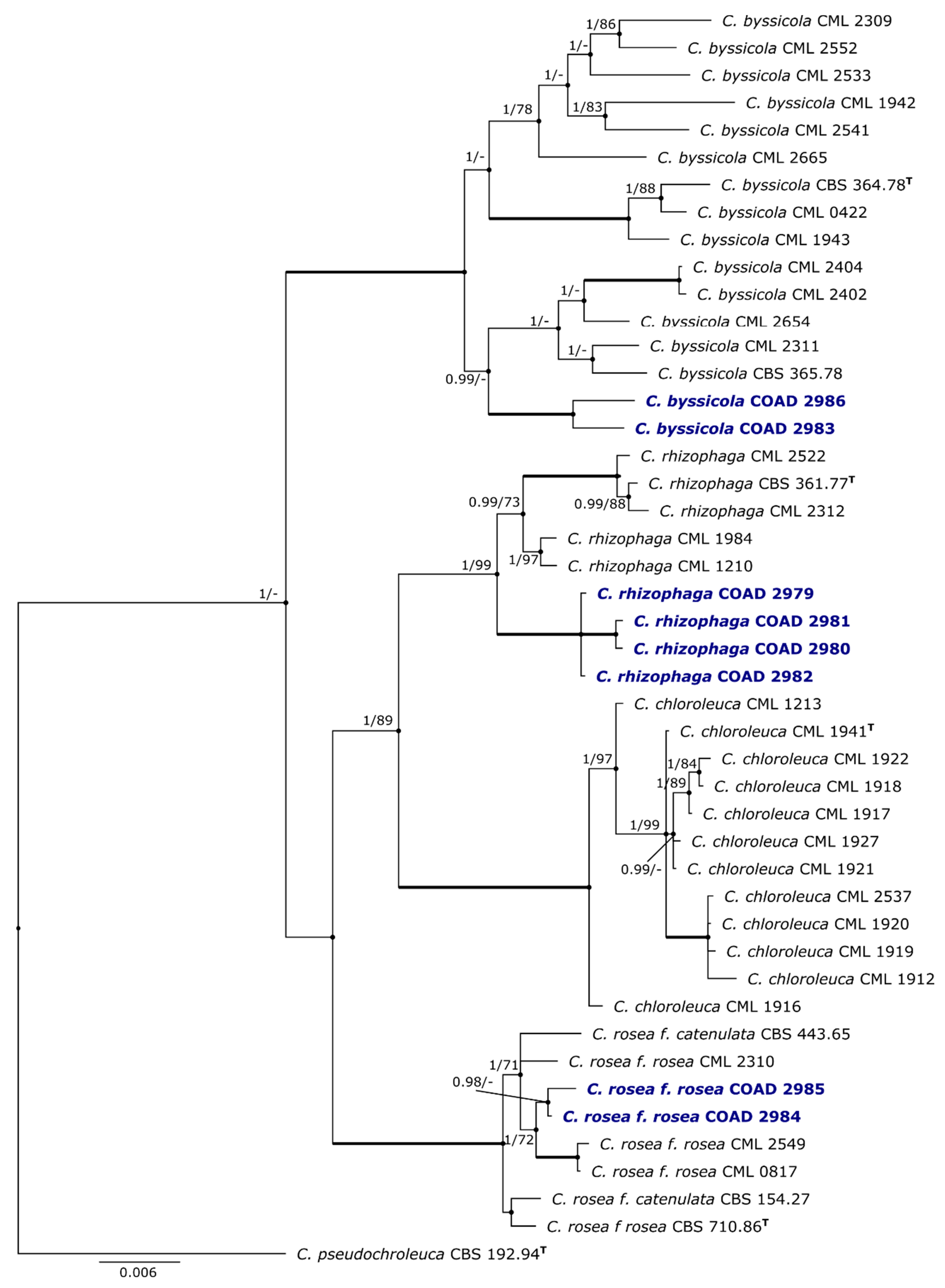 Jof 09 00248 g001 Jof 09 00248 g001