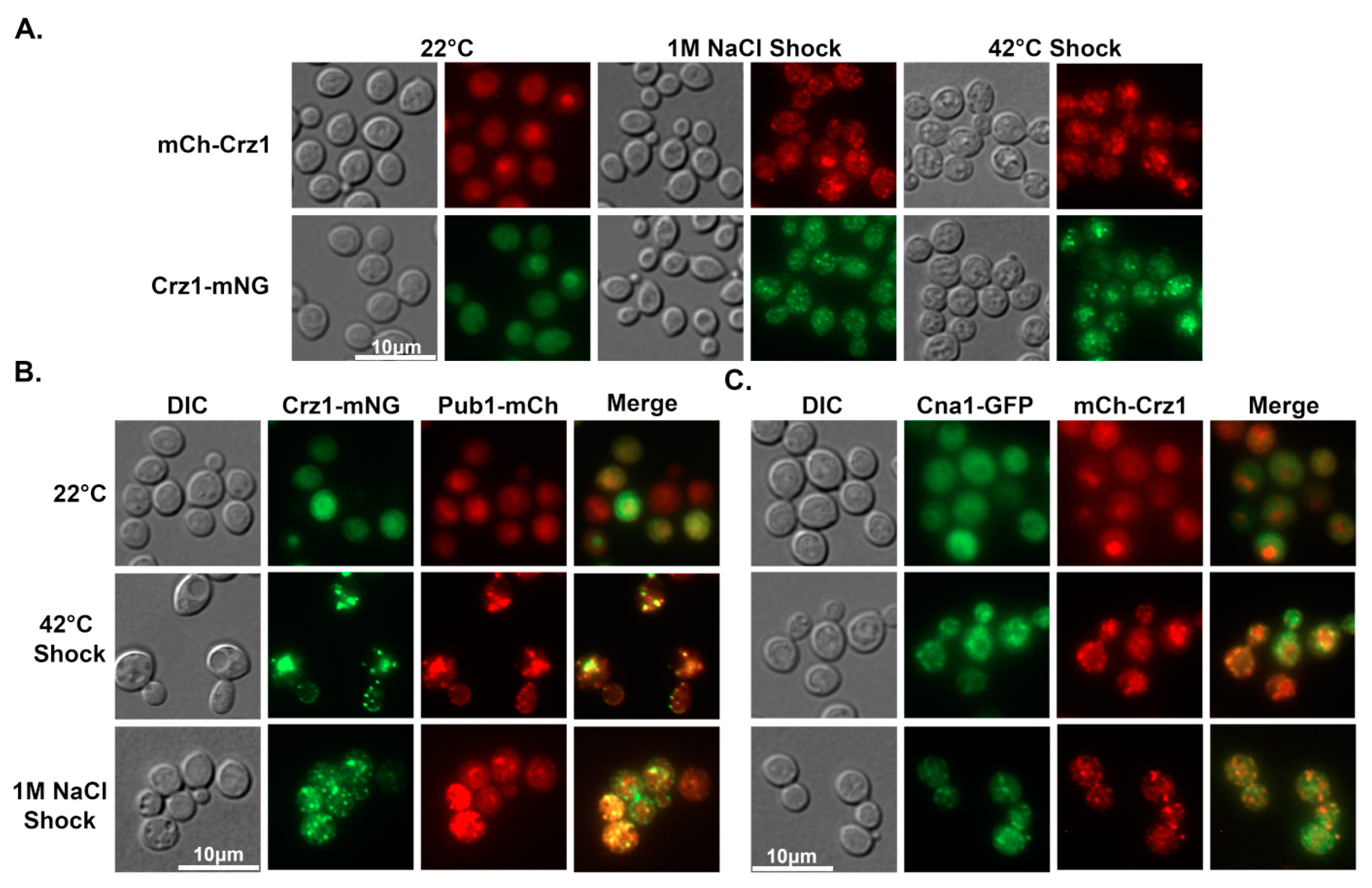 Jof 09 00252 g002 Jof 09 00252 g002
