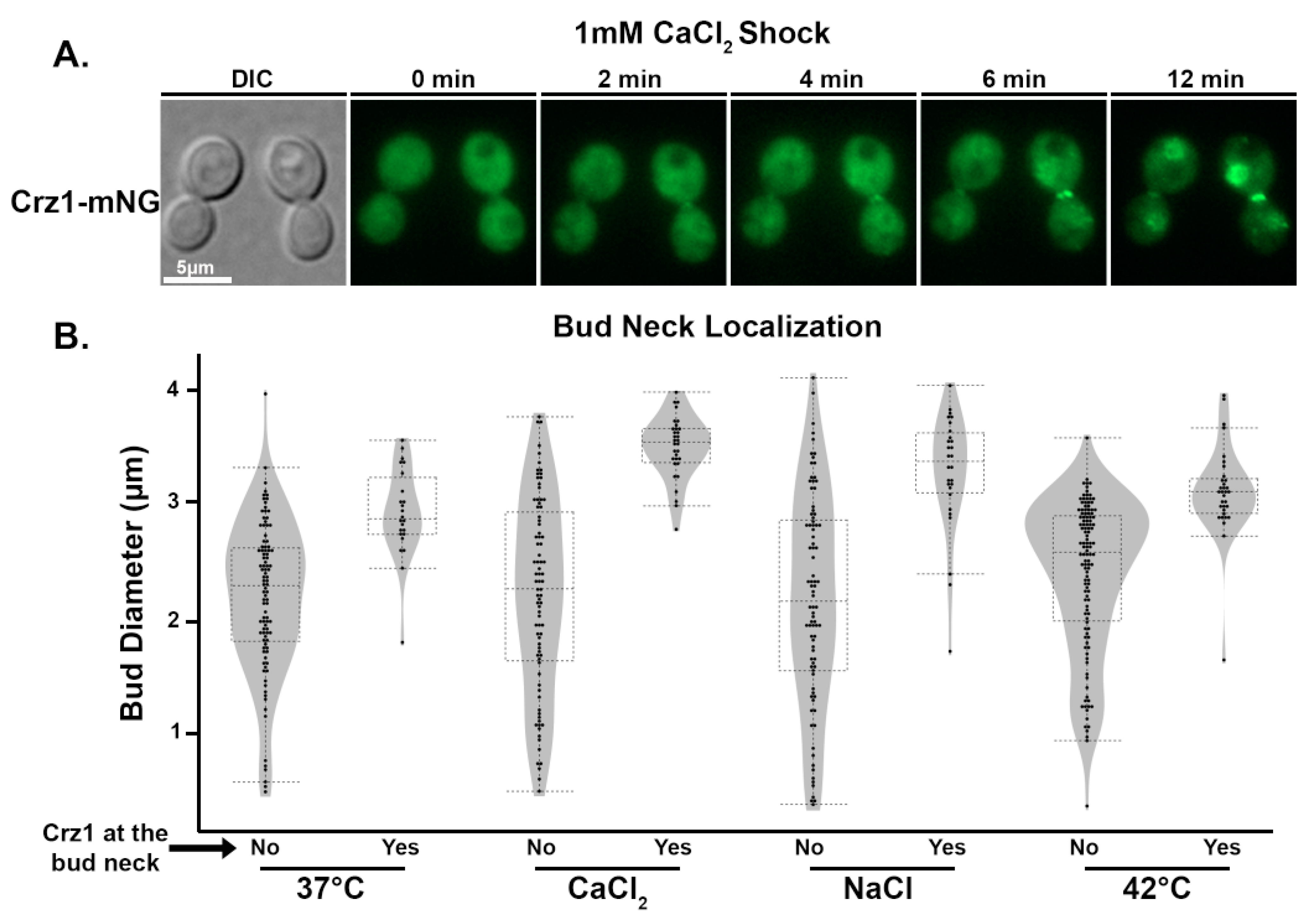 Jof 09 00252 g004 Jof 09 00252 g004