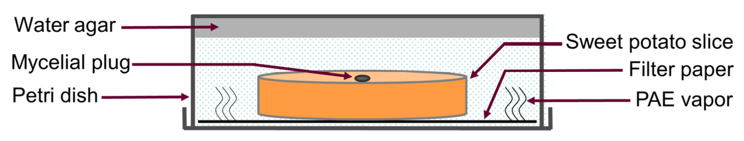 Jof 09 00257 g001 Jof 09 00257 g001