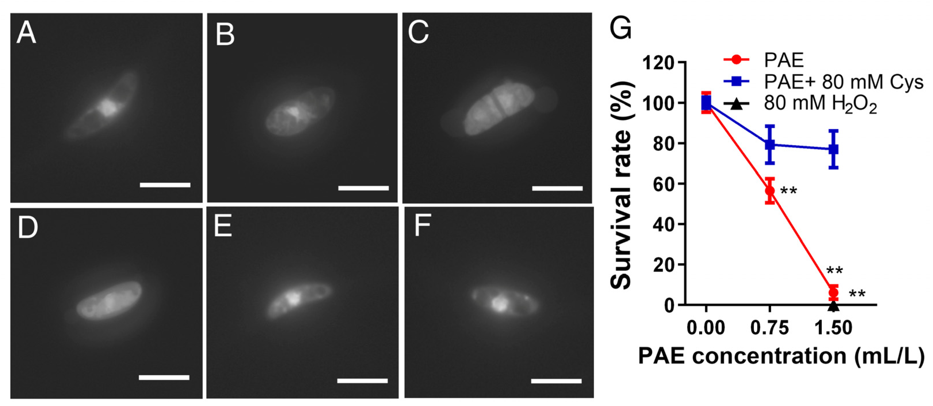 Jof 09 00257 g007 Jof 09 00257 g007