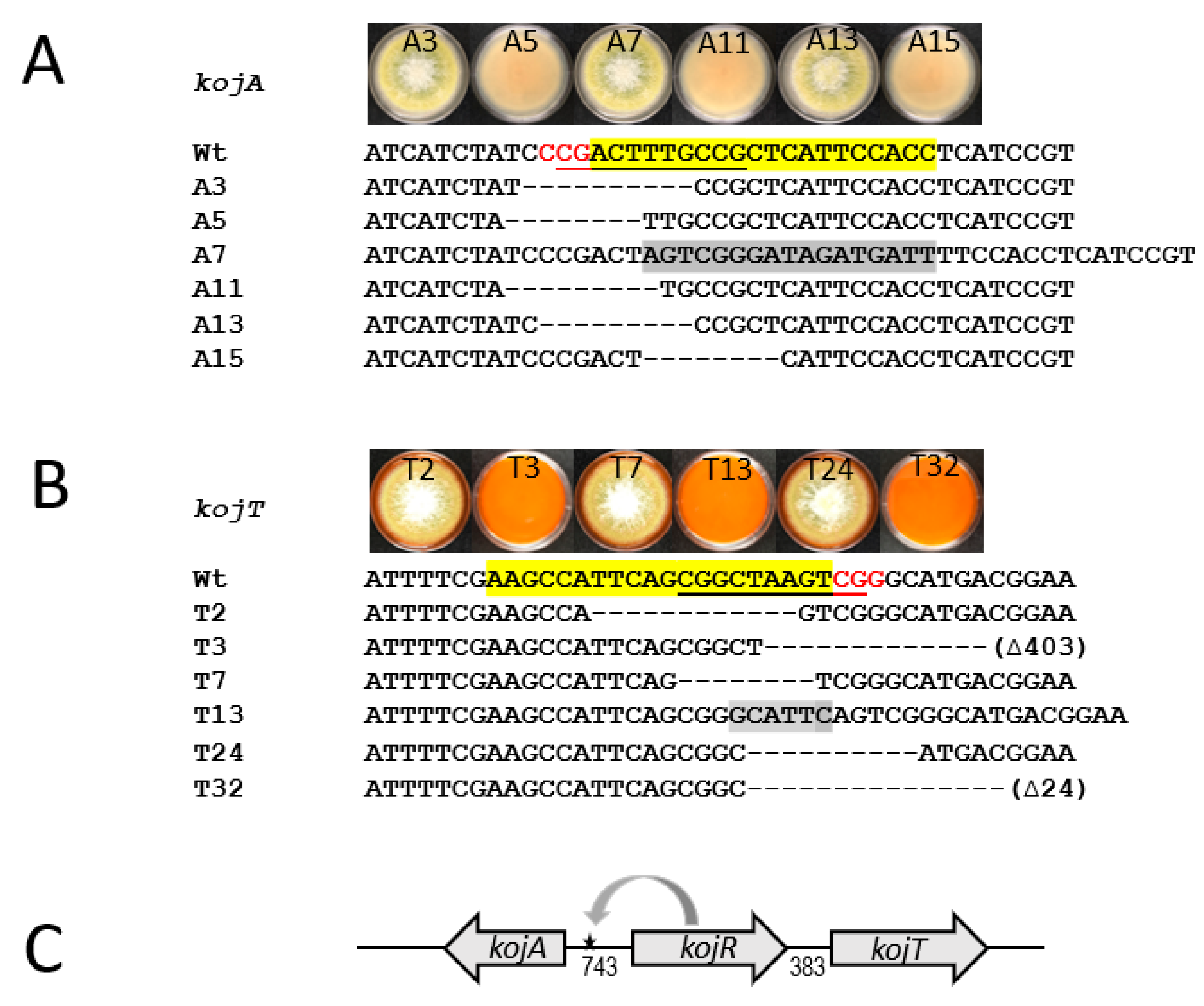 Jof 09 00259 g004 Jof 09 00259 g004