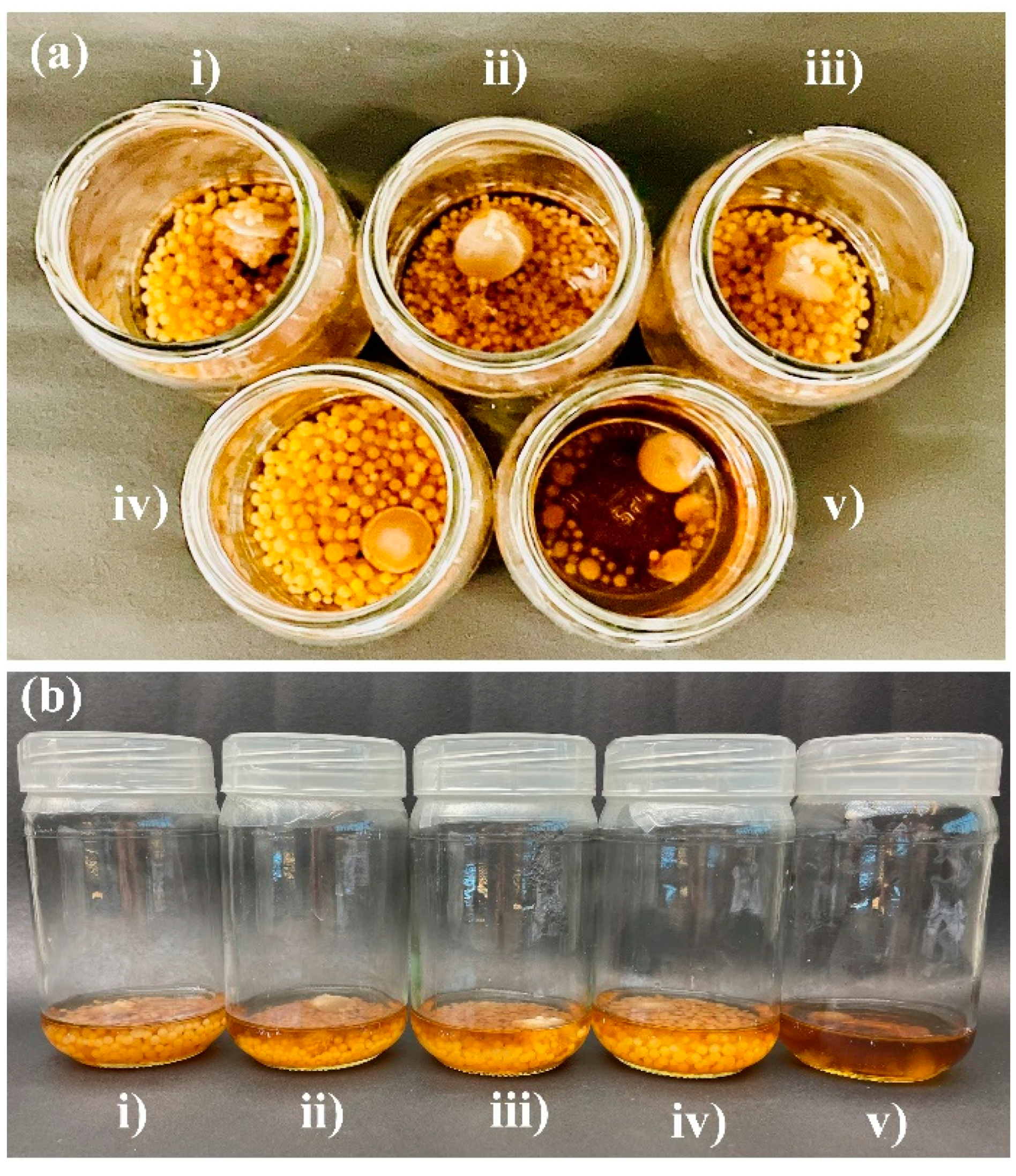 Jof 09 00260 g005 Jof 09 00260 g005