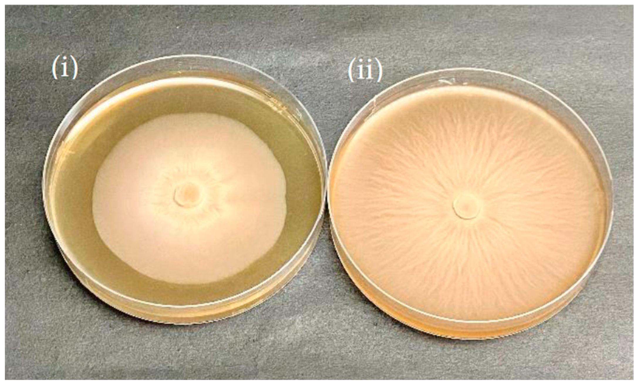 Jof 09 00260 g006 Jof 09 00260 g006