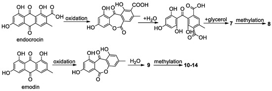 Polyketides as Secondary Metabolites from the Genus Aspergillus