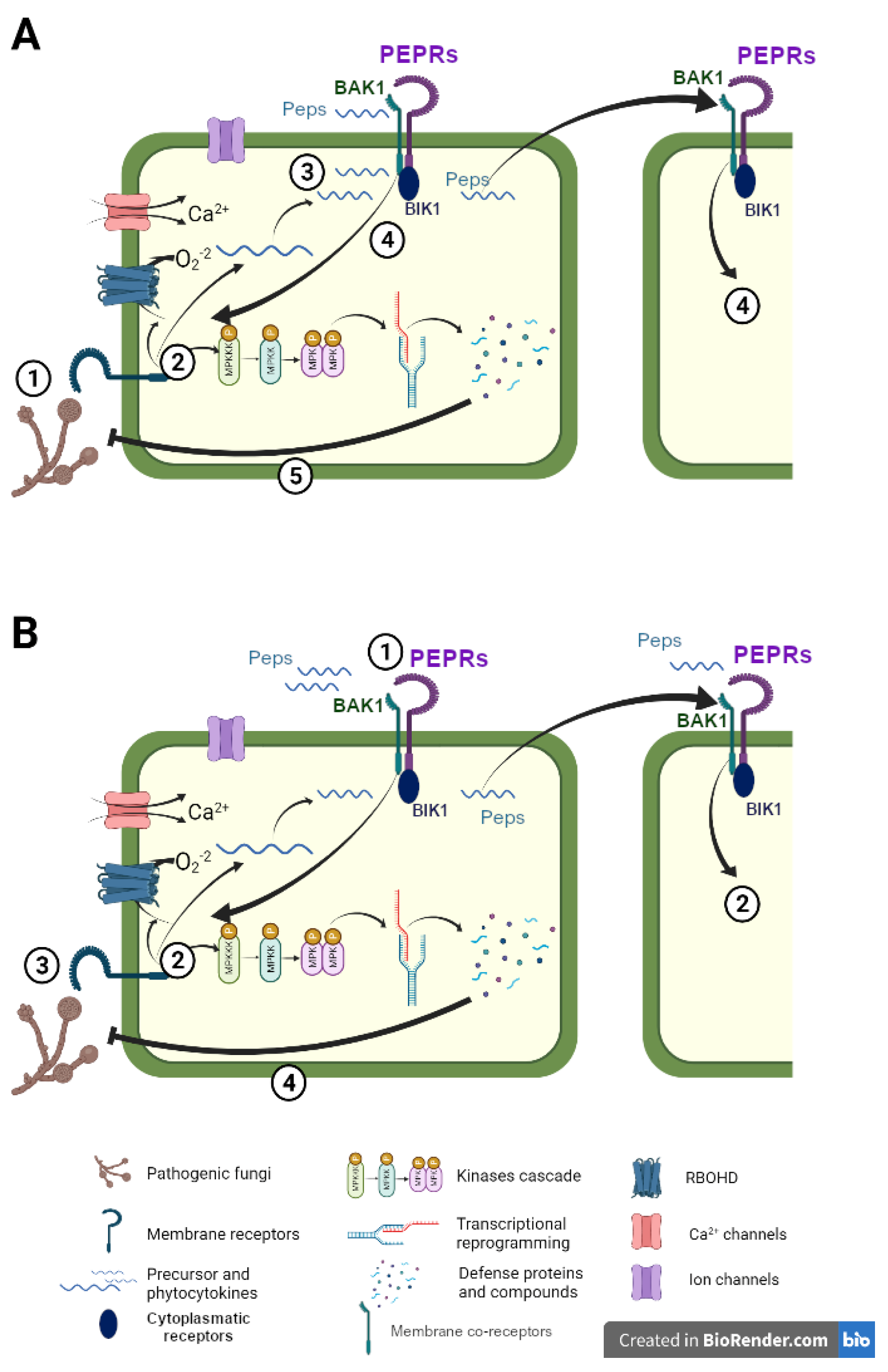 Jof 09 00265 g001 Jof 09 00265 g001