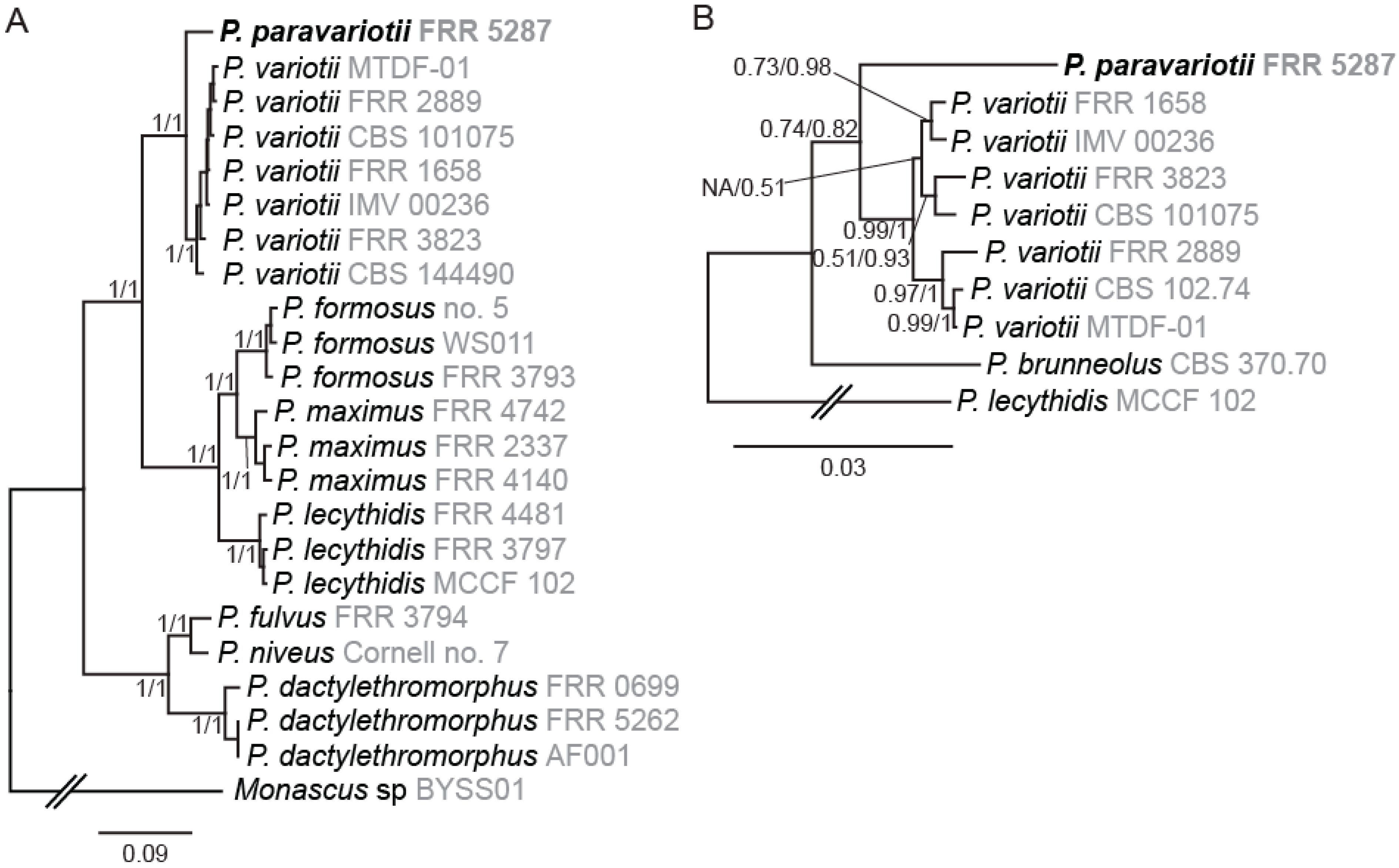 Jof 09 00285 g001 Jof 09 00285 g001