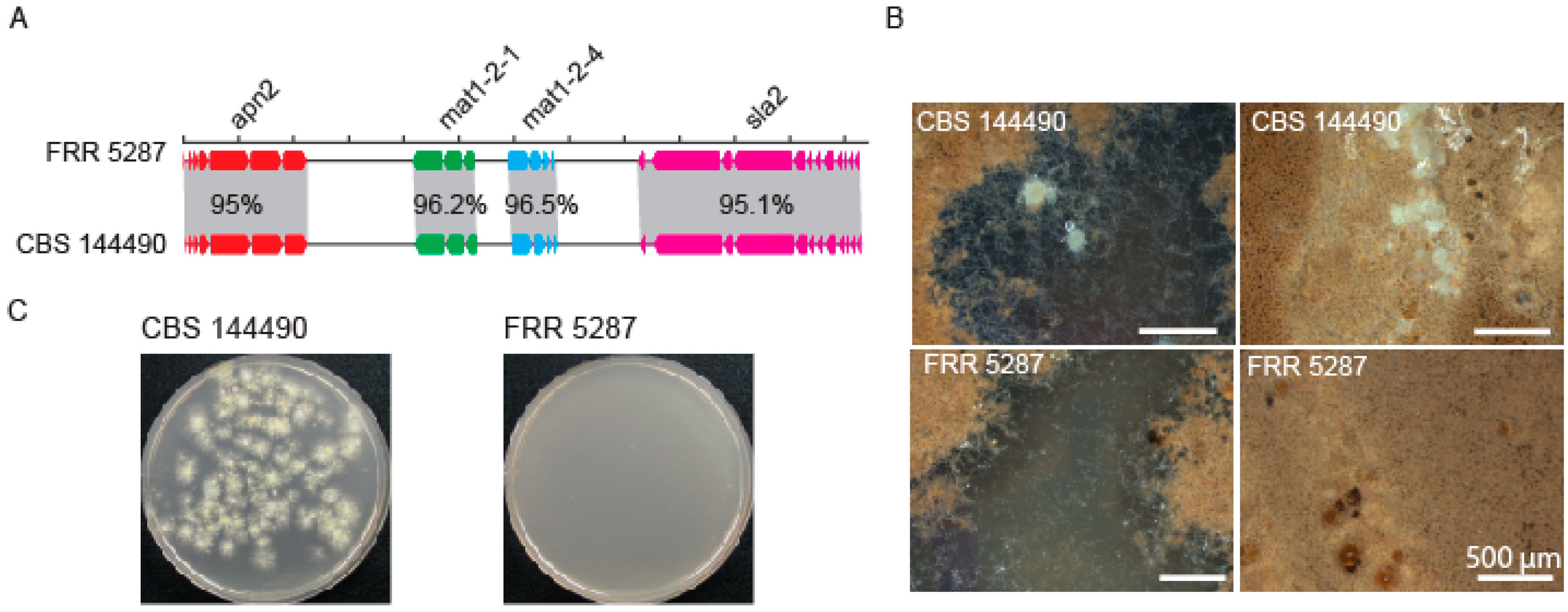 Jof 09 00285 g003 Jof 09 00285 g003