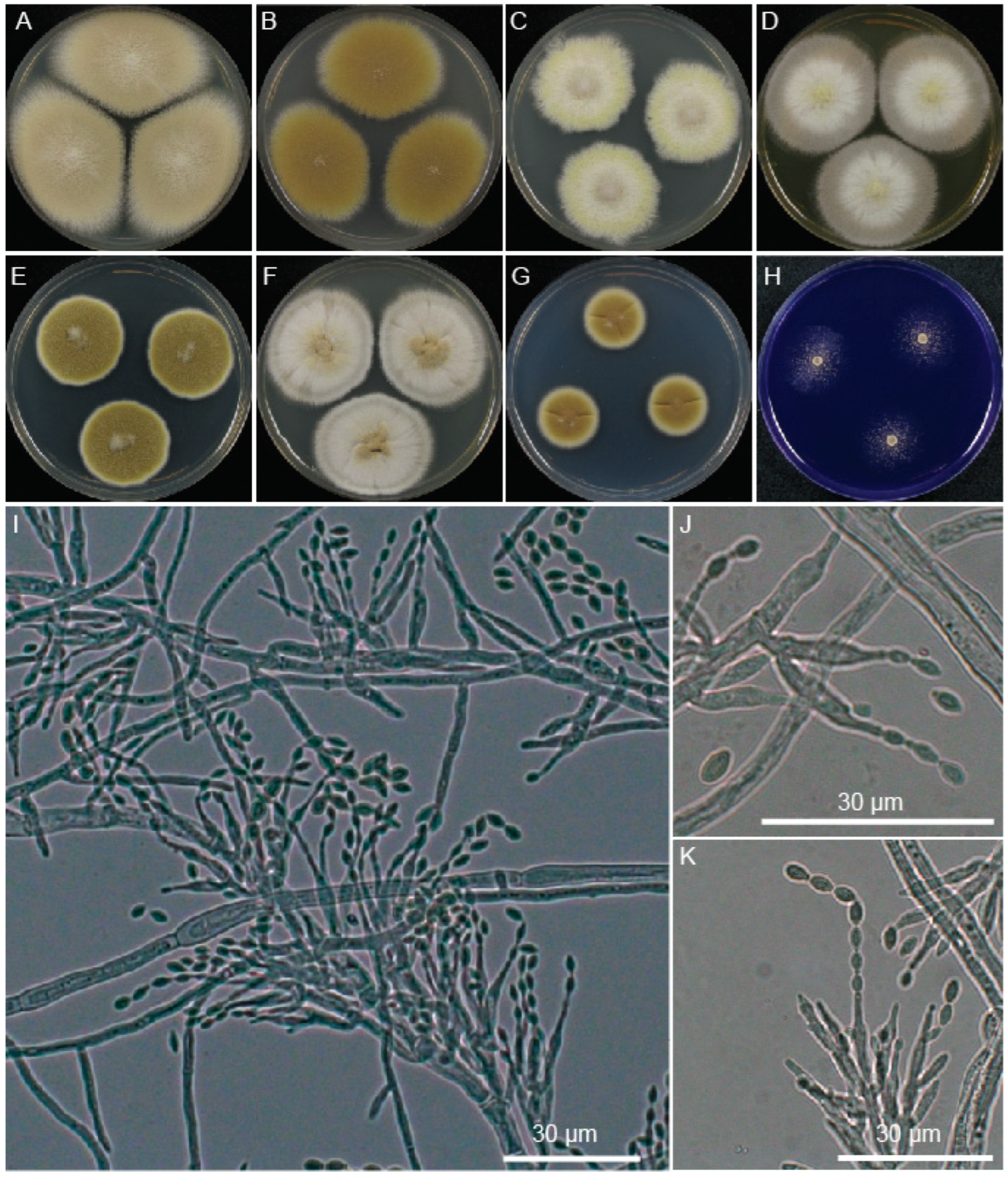 Jof 09 00285 g005a Jof 09 00285 g005a