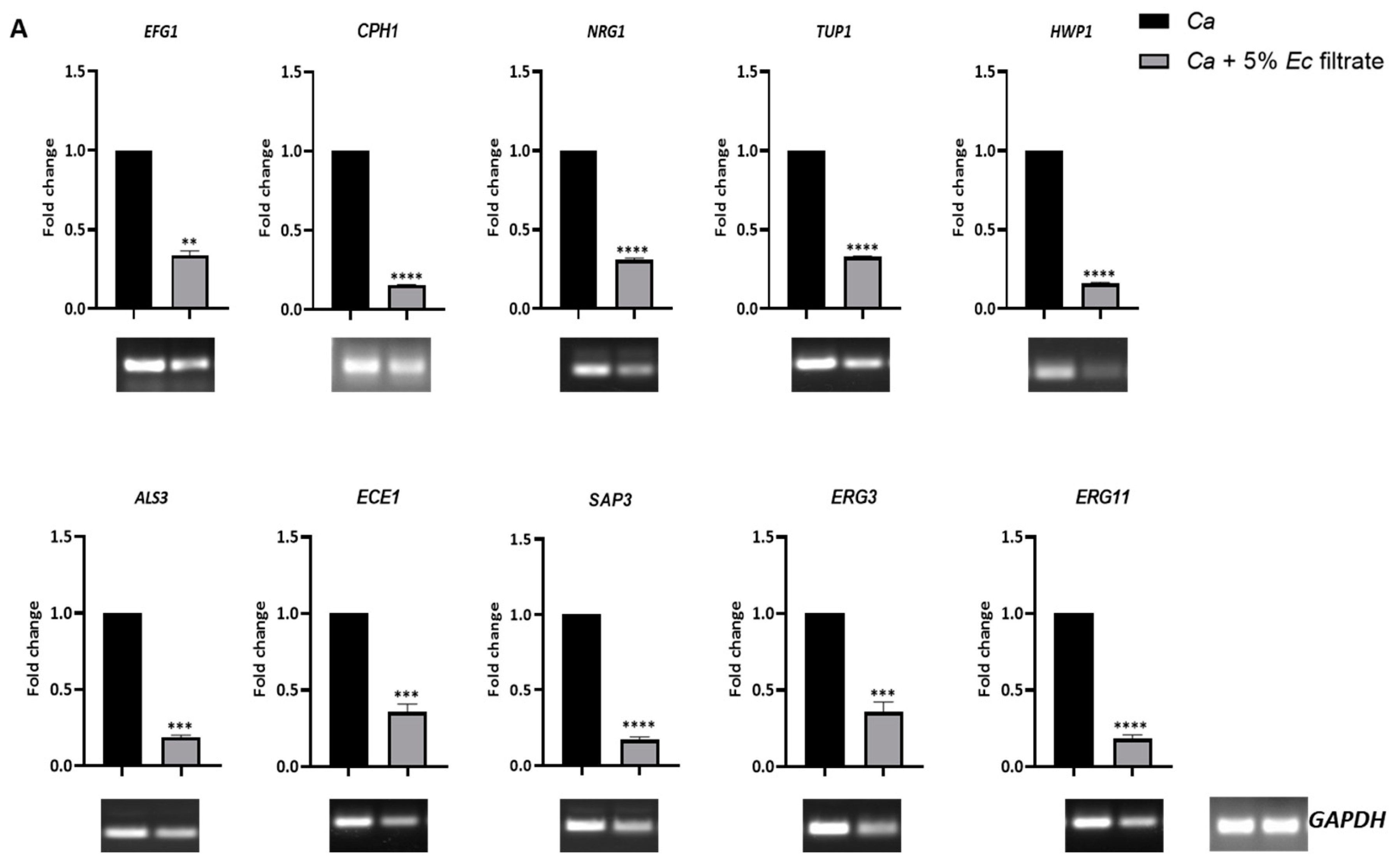 Jof 09 00286 g007a Jof 09 00286 g007a