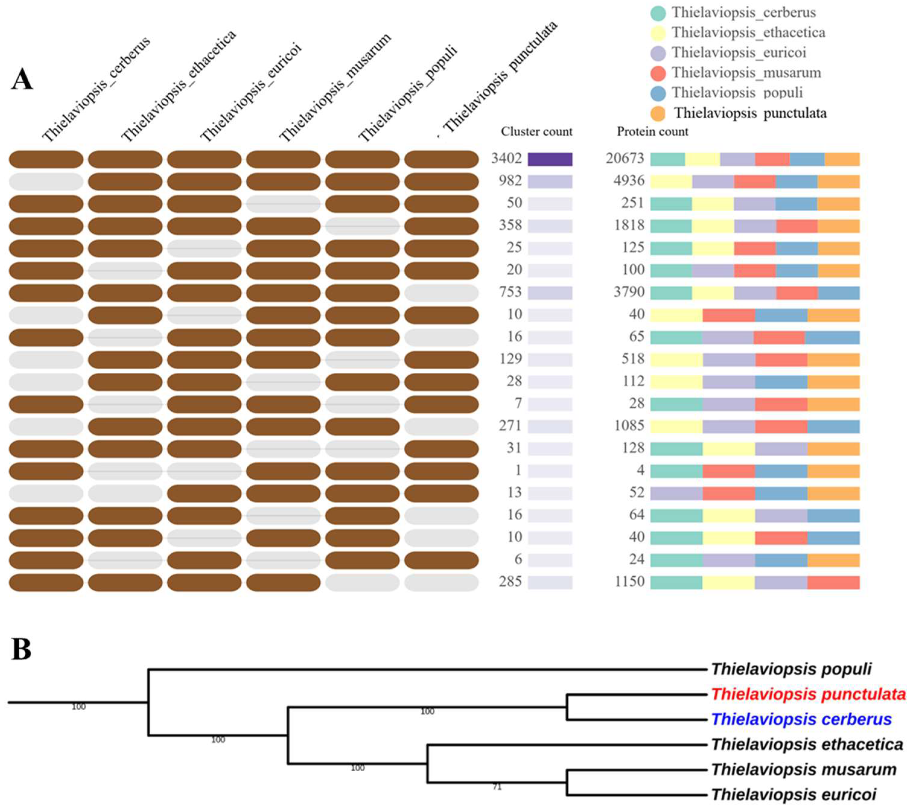 Jof 09 00303 g001 Jof 09 00303 g001