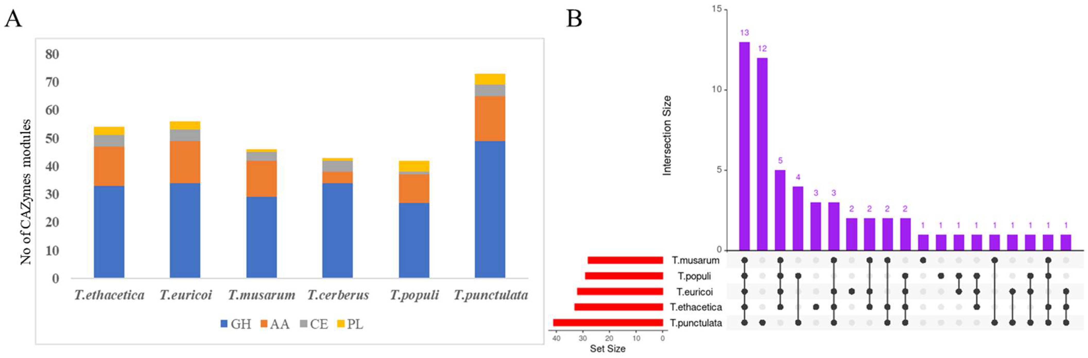 Jof 09 00303 g004 Jof 09 00303 g004