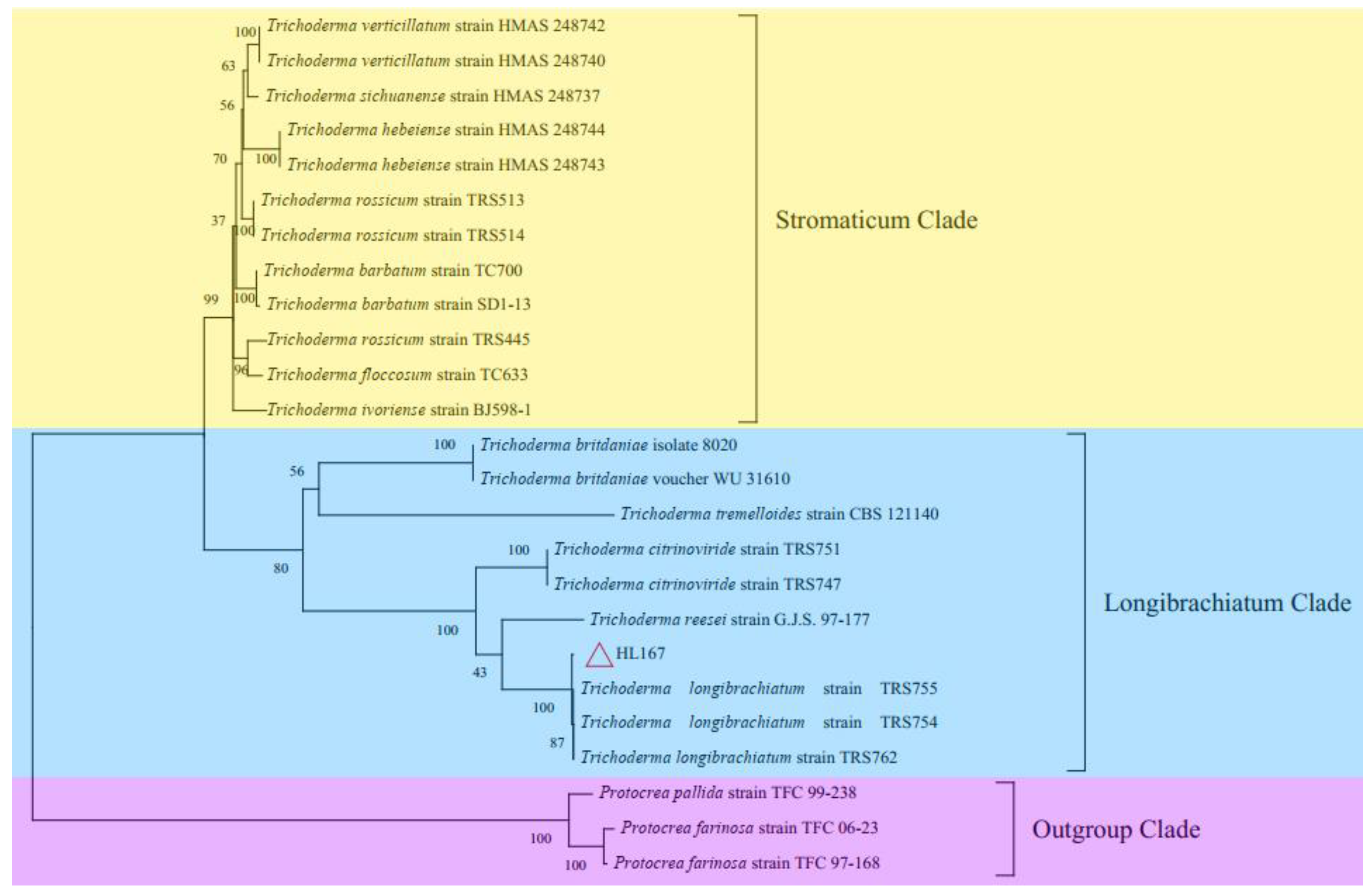 Jof 09 00304 g004 Jof 09 00304 g004